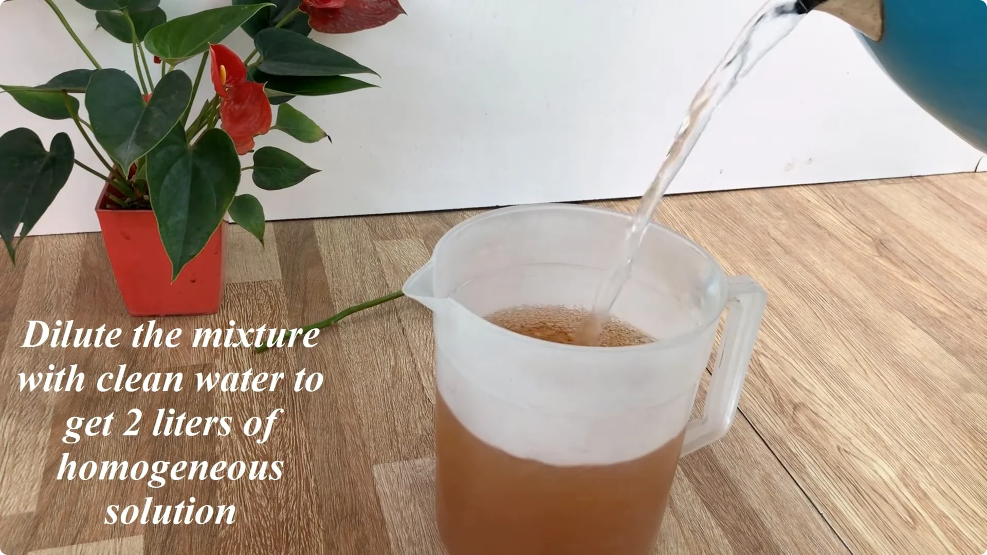 How Anyone Can Easily Propagate Roses at Home screenshot 5