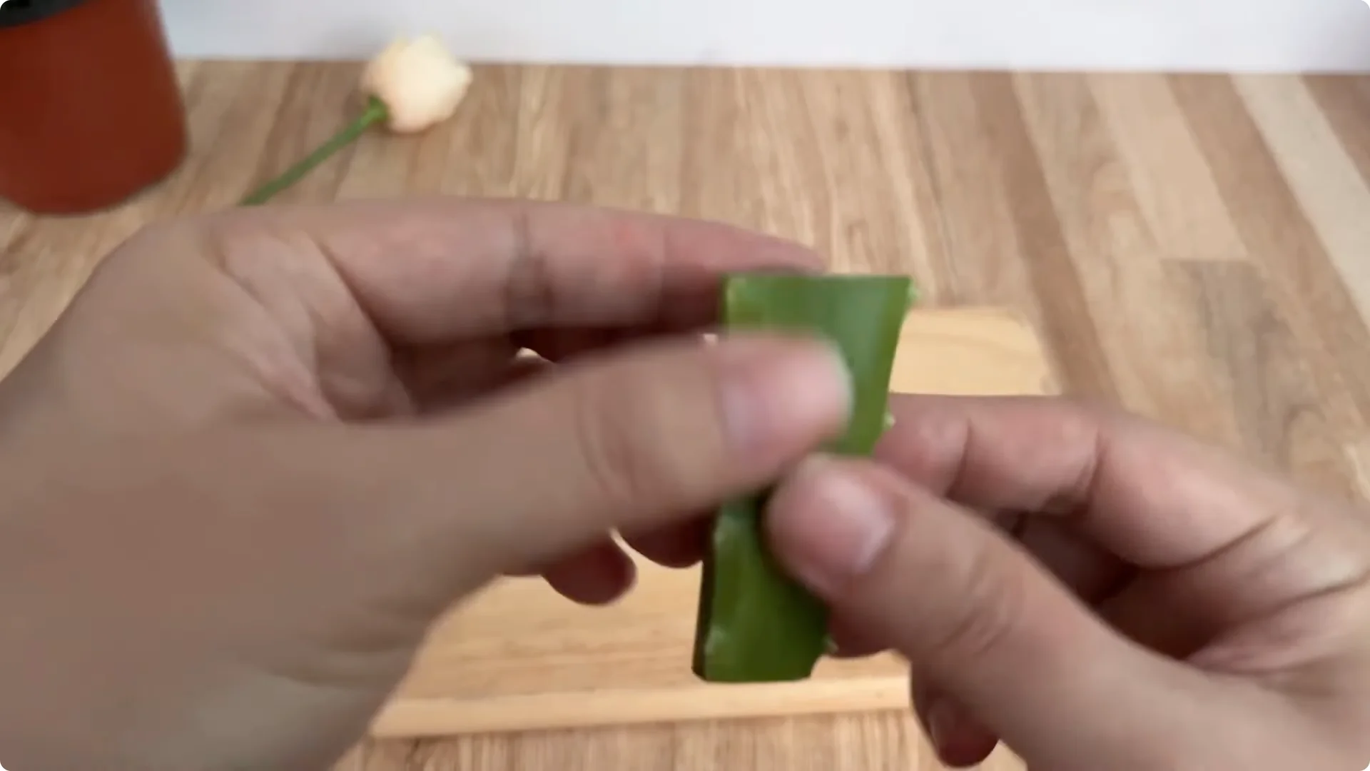How Anyone Can Easily Propagate Roses at Home screenshot 5