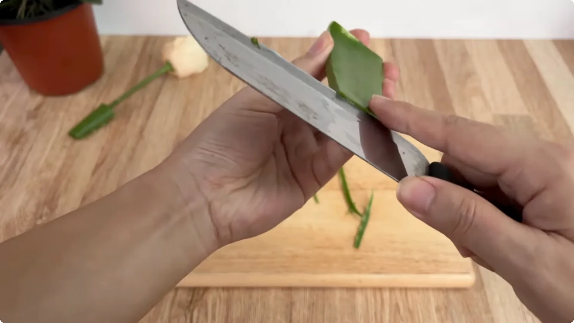 How Anyone Can Easily Propagate Roses at Home screenshot 6