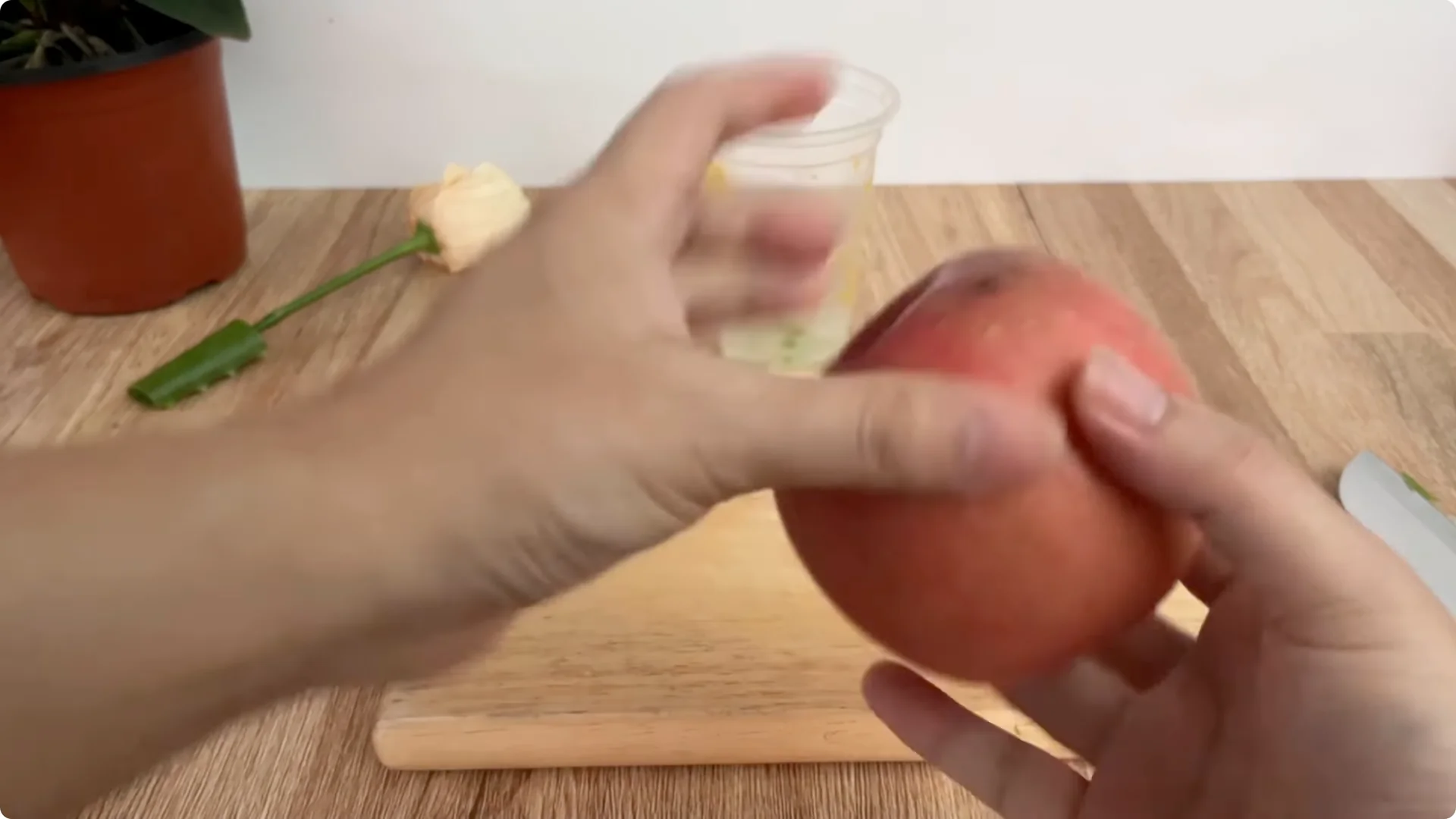 How Anyone Can Easily Propagate Roses at Home screenshot 8