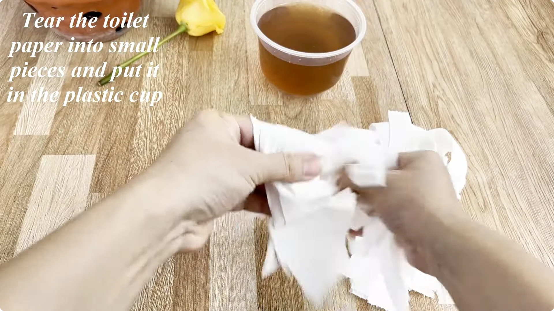 How Coca Cola Can Help You Propagate Roses Easily screenshot 5