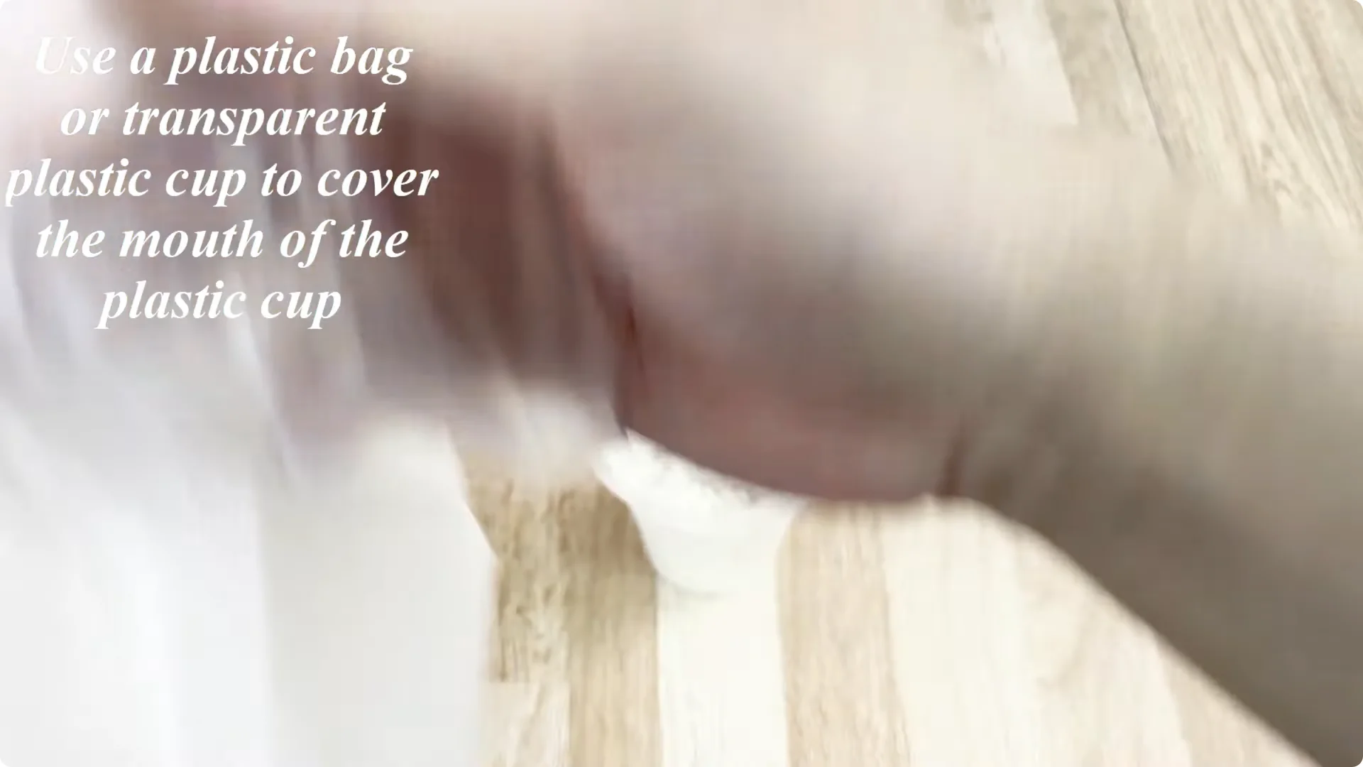 How Coca Cola Can Help You Propagate Roses Easily screenshot 6