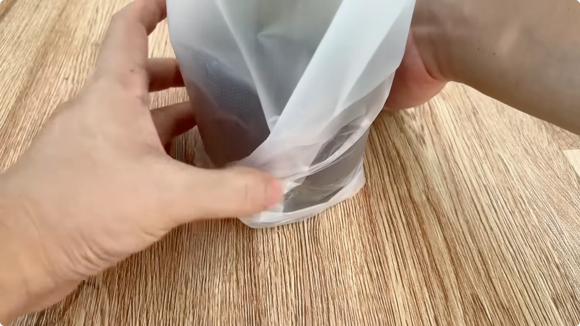 How Did This Rose Branch Root and Sprout Overnight? screenshot 11