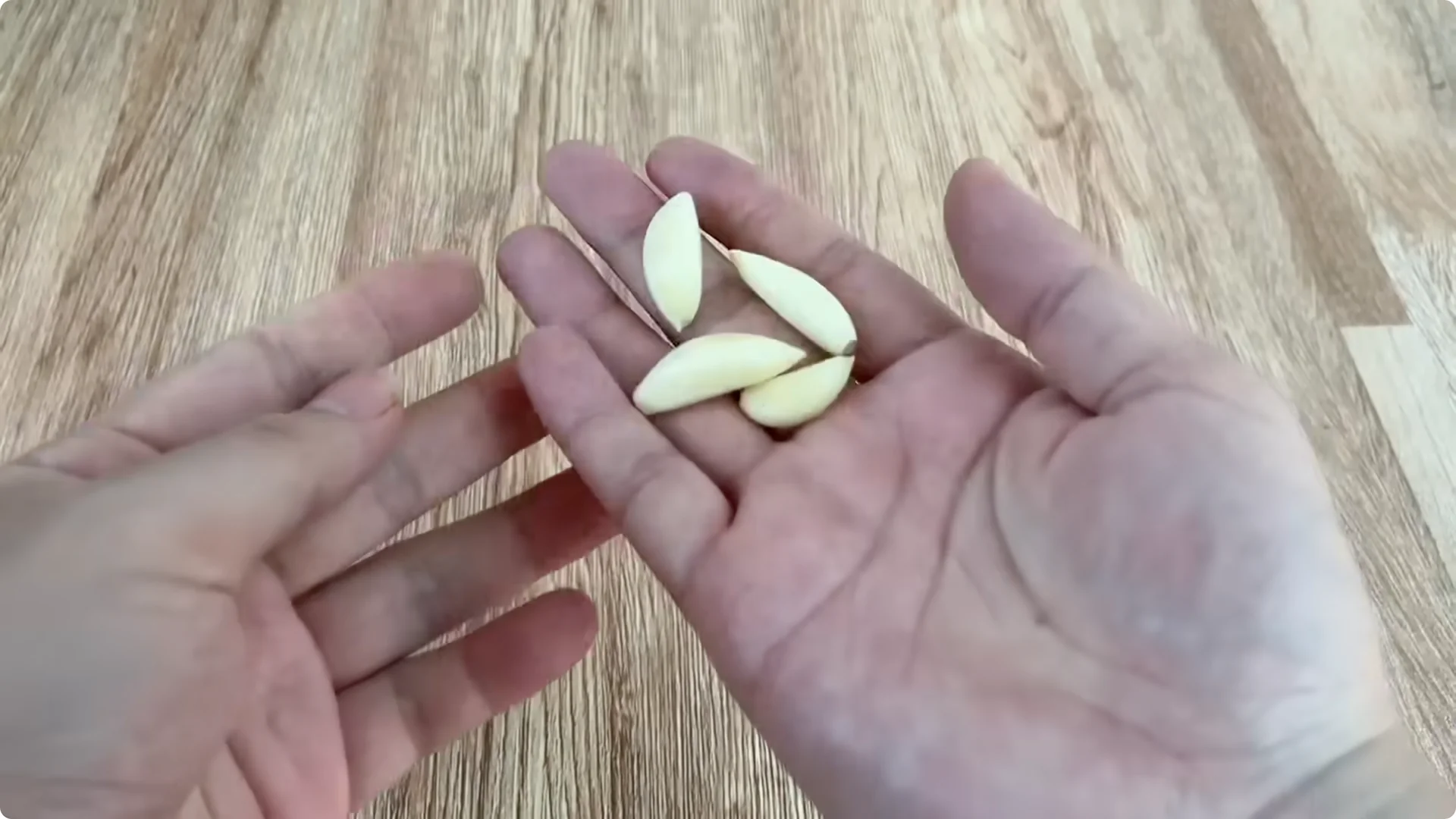 How Did This Rose Branch Root and Sprout Overnight? screenshot 2