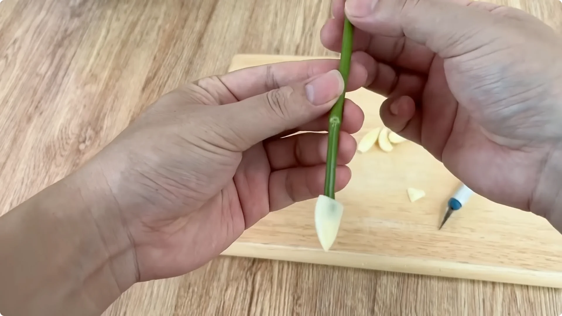 How Did This Rose Branch Root and Sprout Overnight? screenshot 4