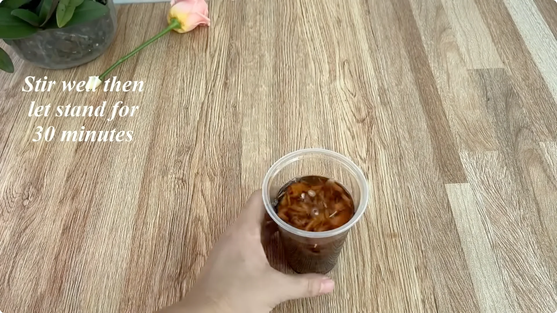 How Did This Rose Branch Root and Sprout Overnight? screenshot 6