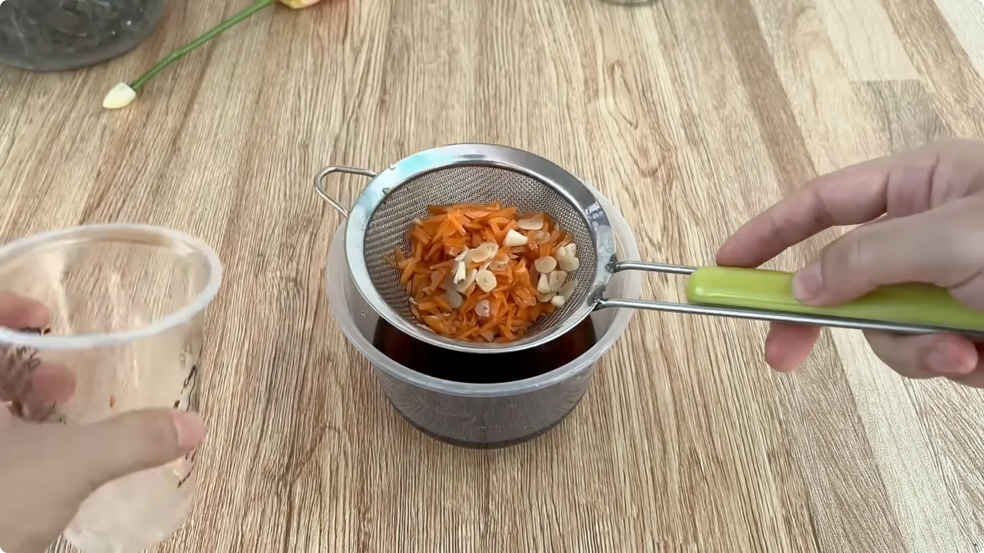 How Did This Rose Branch Root and Sprout Overnight? screenshot 8