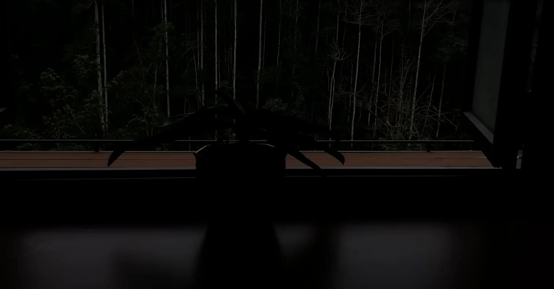 How Do Orchids Respond to the Right Flowering Signals? screenshot 5