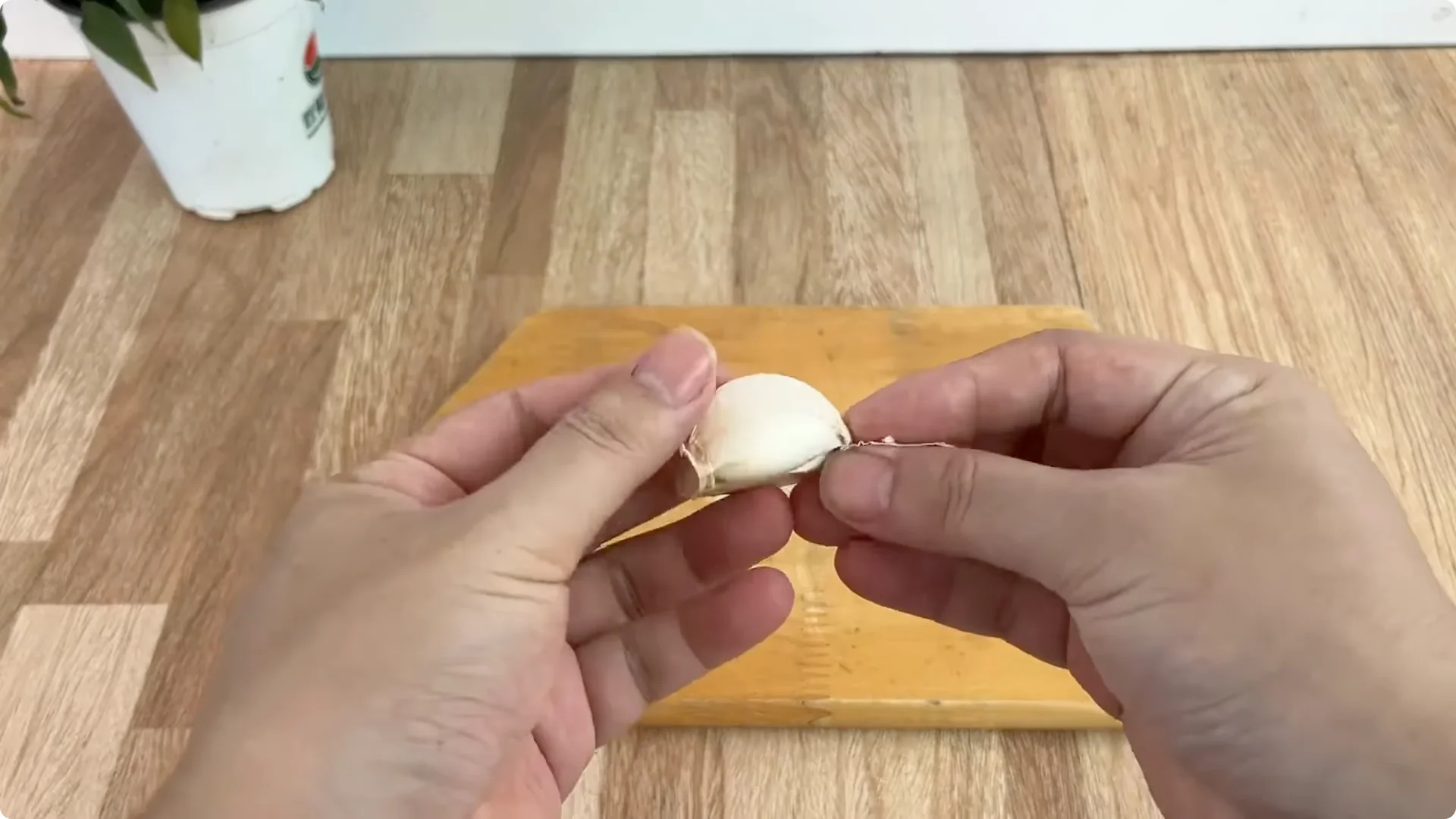 How Garlic Transforms Your Rose Plant’s Roots and Blooms screenshot 1