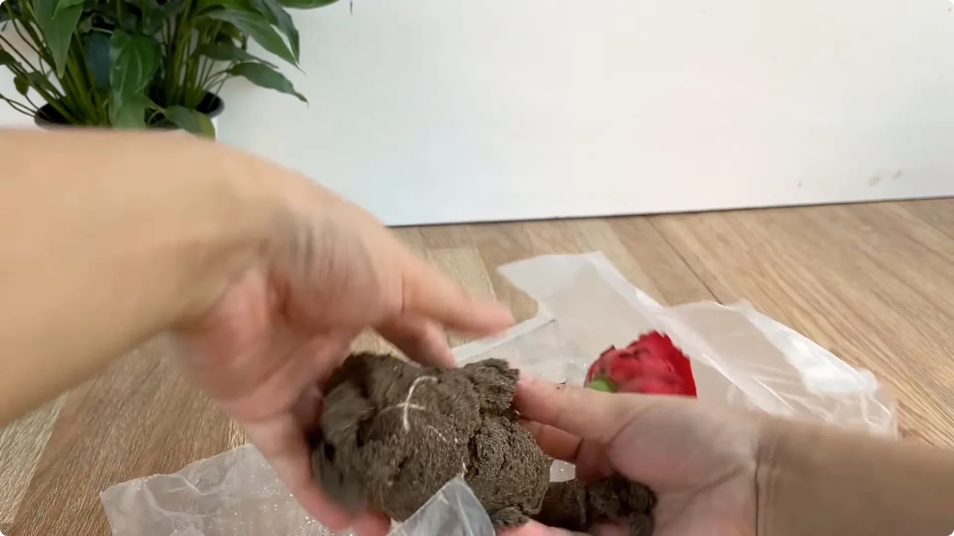 How Garlic Transforms Your Rose Plant’s Roots and Blooms screenshot 10