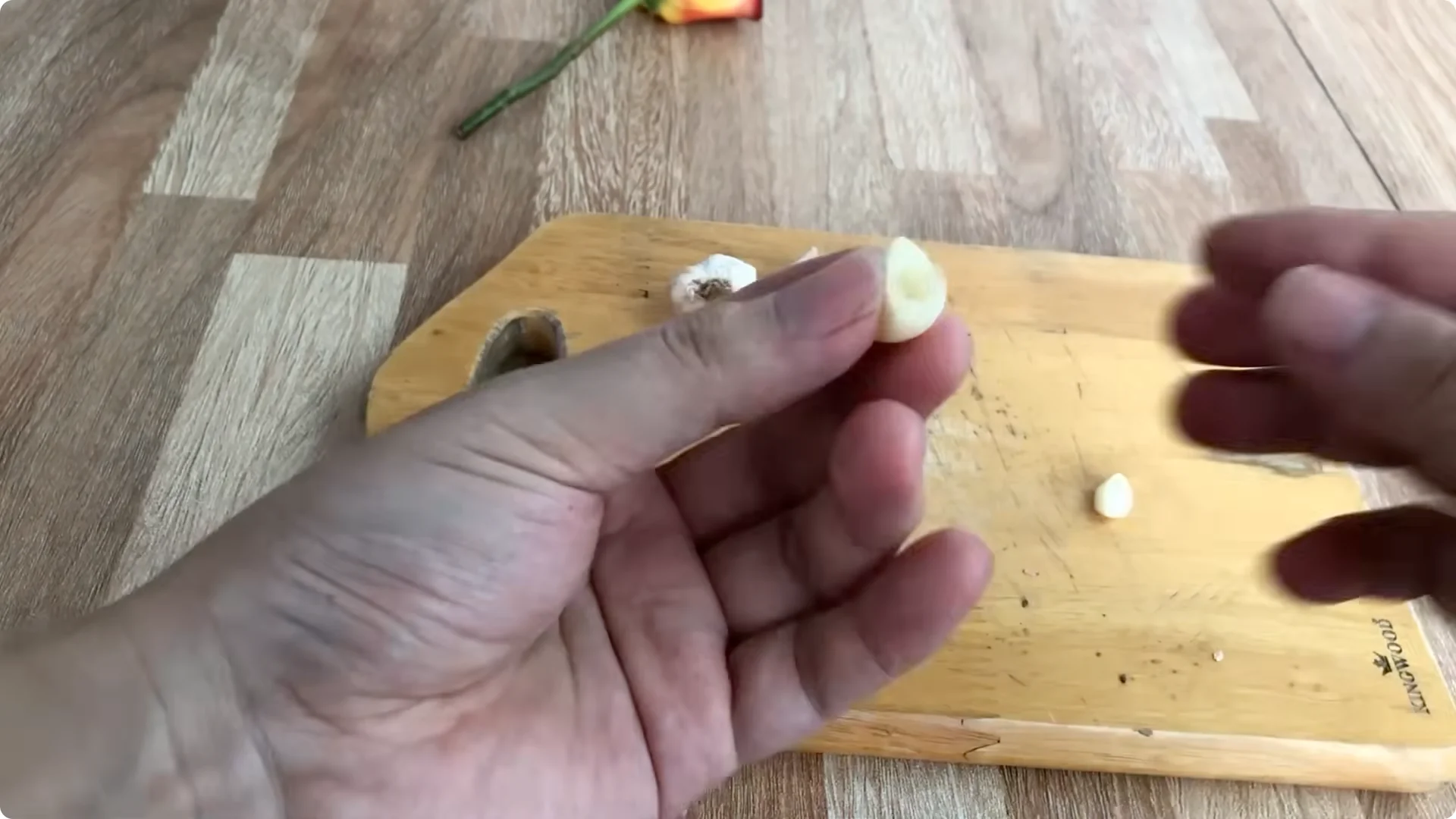 How Garlic Transforms Your Rose Plant’s Roots and Blooms screenshot 3
