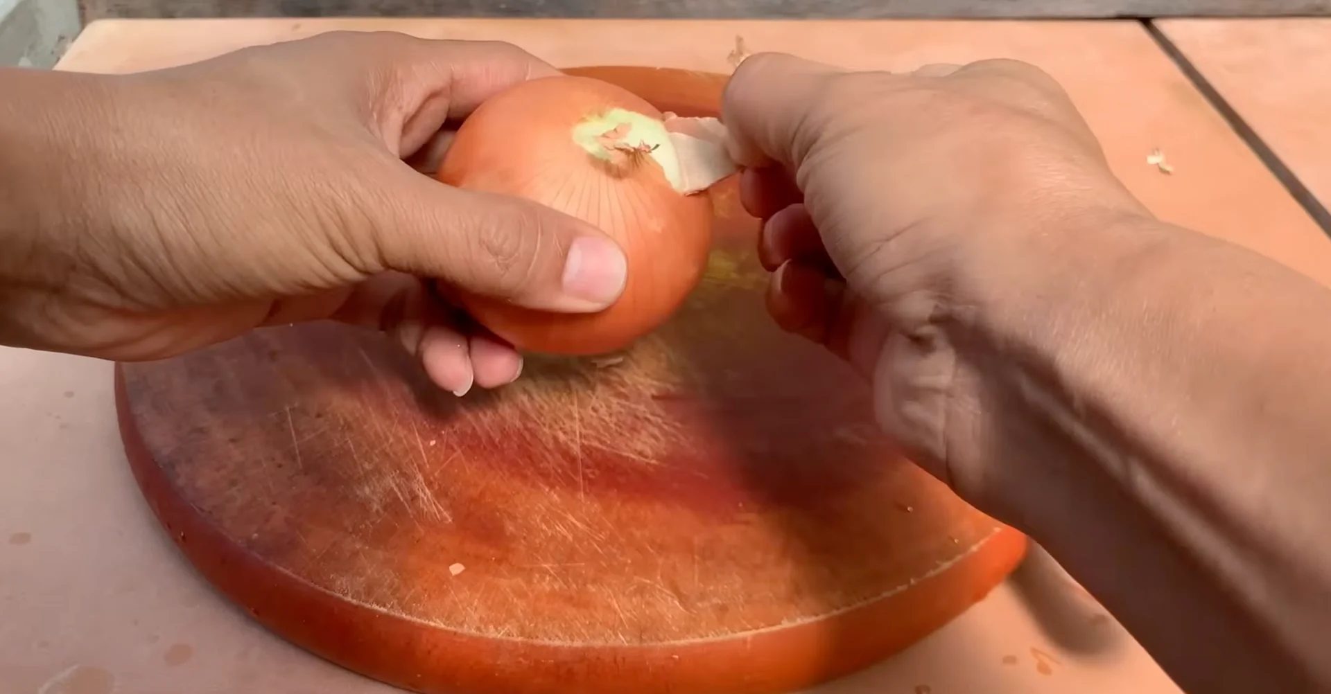 How Just Dry Onion Skins Help Orchids Bloom Year-Round? screenshot 1