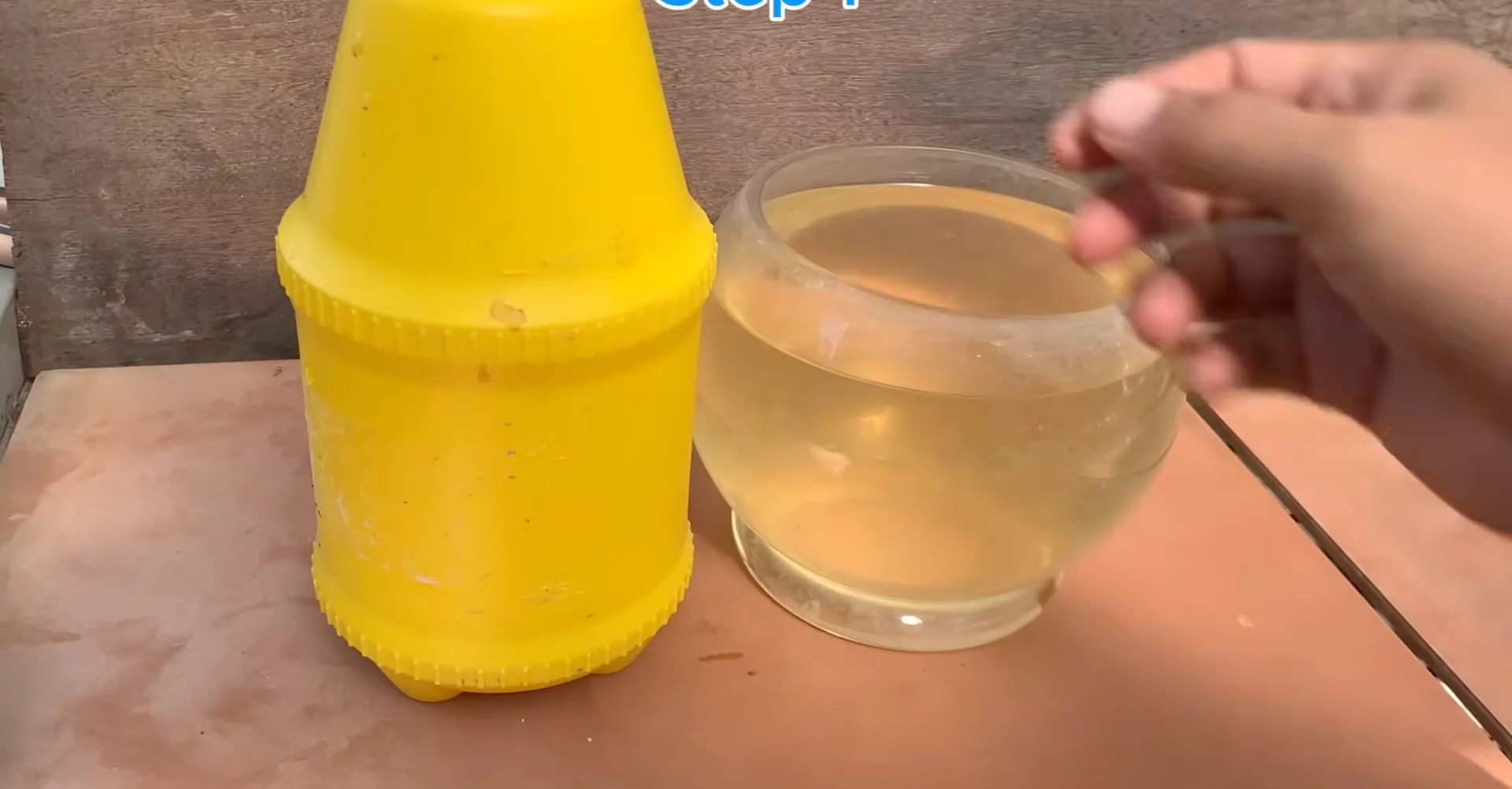 How Just Dry Onion Skins Help Orchids Bloom Year-Round? screenshot 13