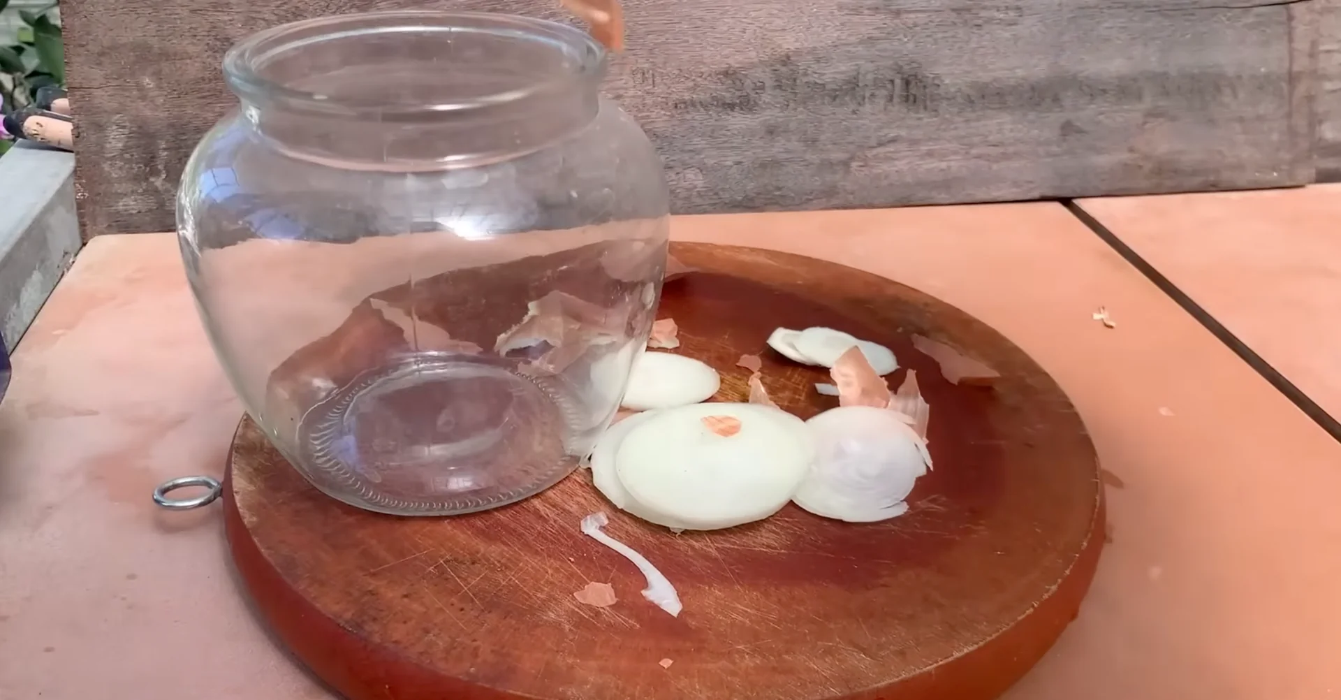 How Just Dry Onion Skins Help Orchids Bloom Year-Round? screenshot 5