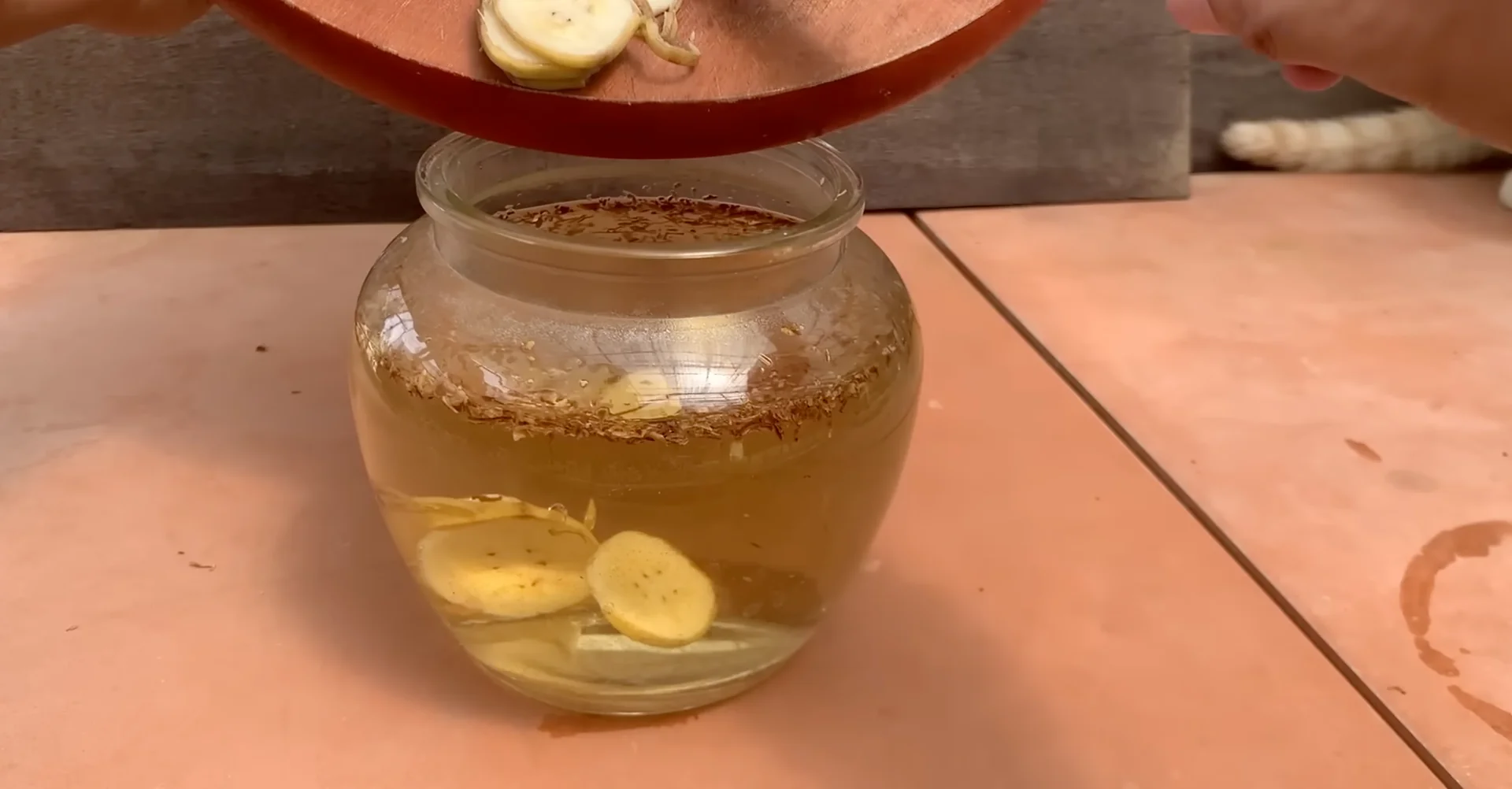 How One Banana Boosts Orchid Growth Surprisingly Well? screenshot 3