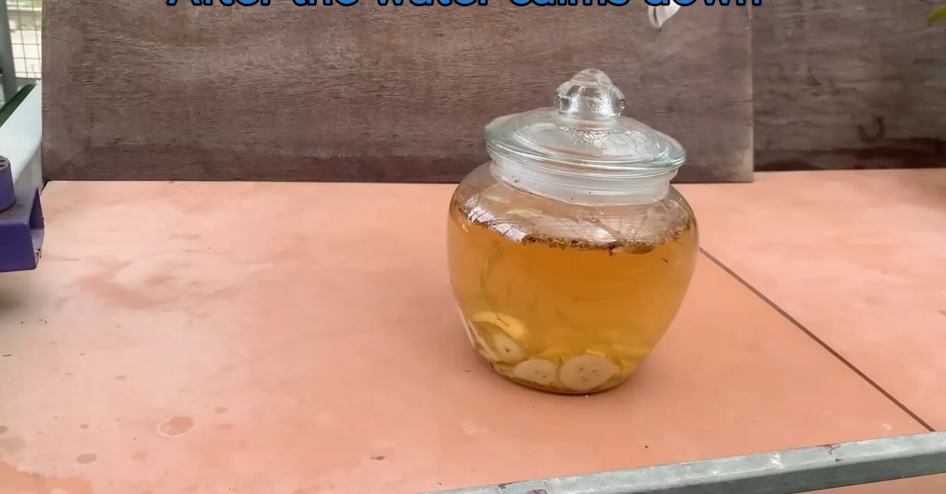 How One Banana Boosts Orchid Growth Surprisingly Well? screenshot 5