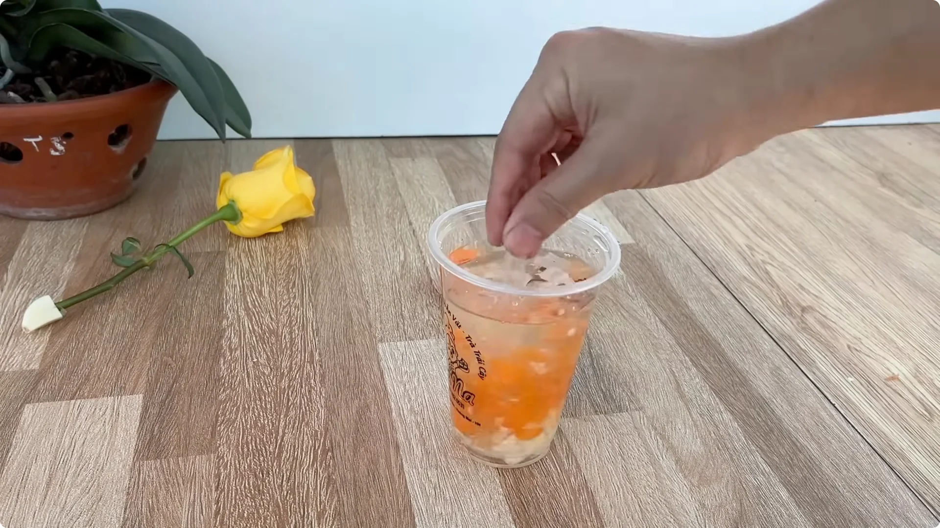 How One Cup Helps Rose Branches Root and Grow Rapidly screenshot 10