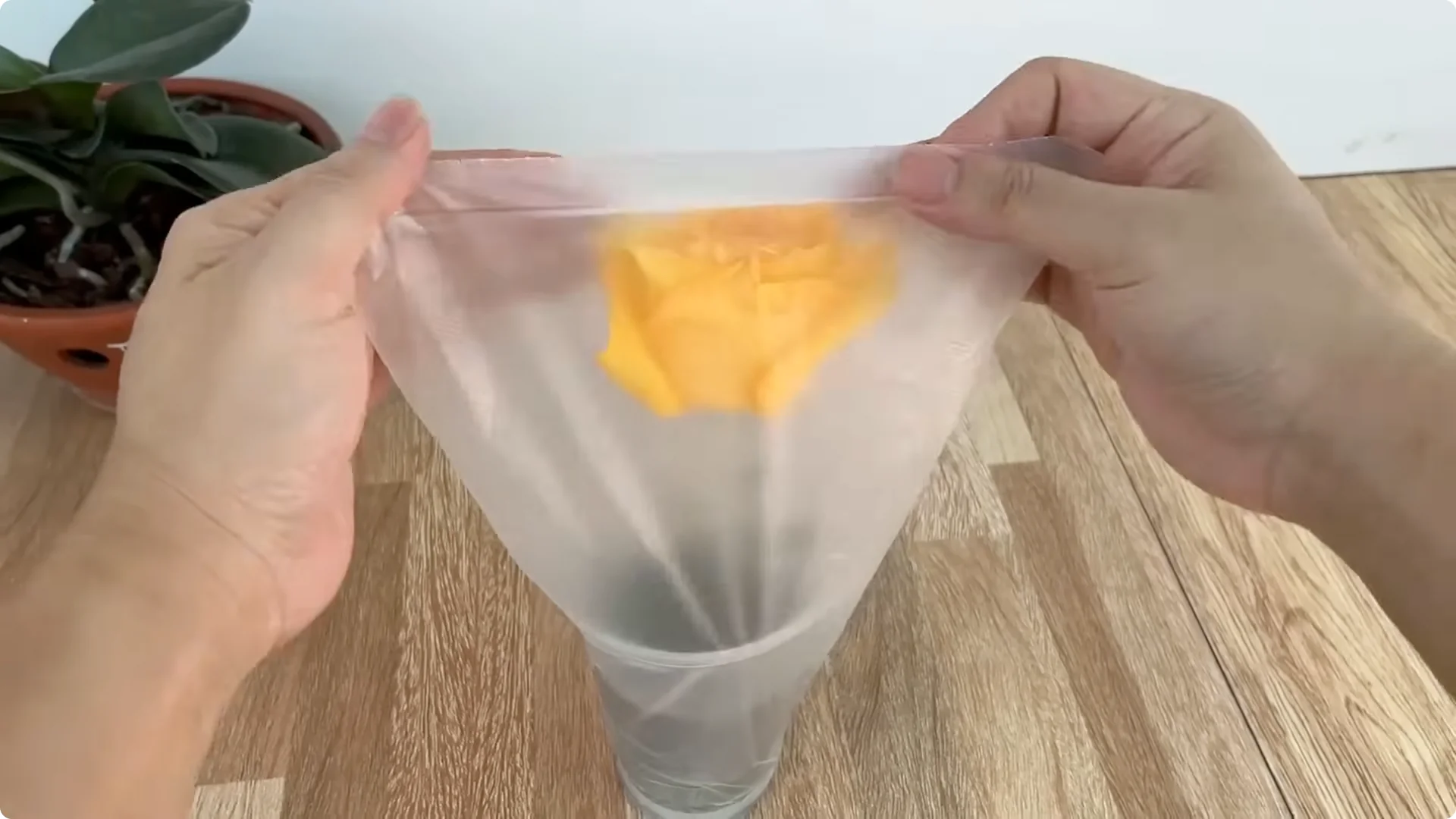 How One Cup Helps Rose Branches Root and Grow Rapidly screenshot 17