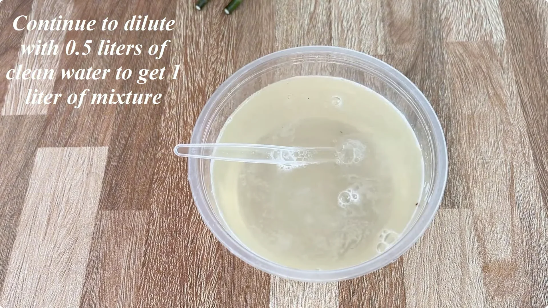 How One Cup Sparks Rapid Rooting and Blooming of Rose Branches screenshot 4