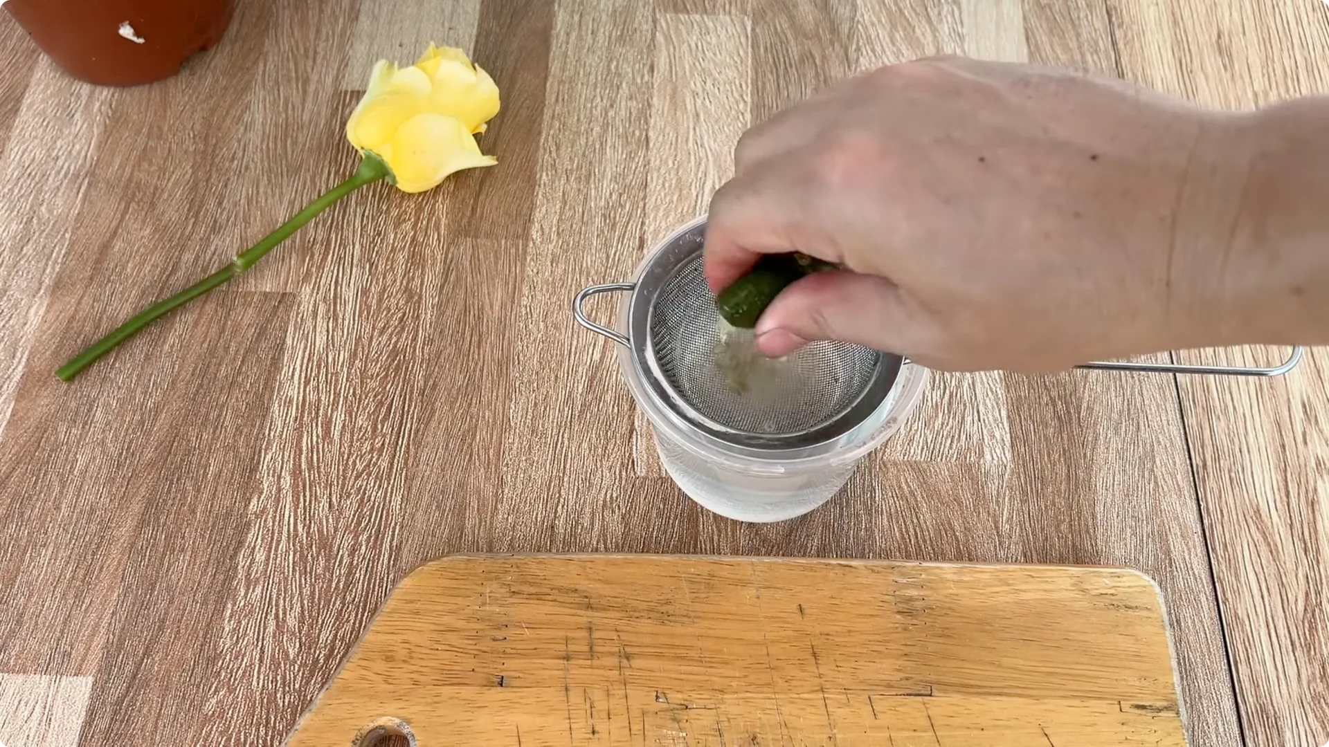 How One Lemon Slice Boosts Rose Growth Surprisingly Fast screenshot 2