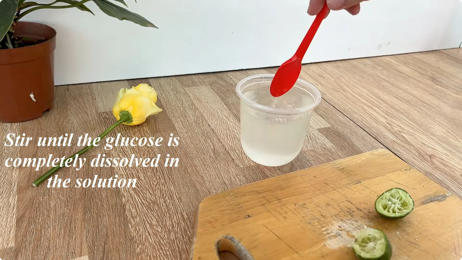 How One Lemon Slice Boosts Rose Growth Surprisingly Fast screenshot 4