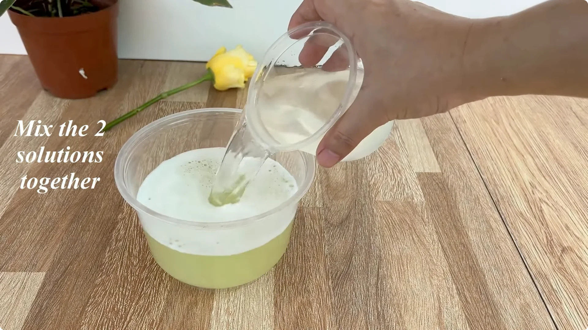 How One Lemon Slice Boosts Rose Growth Surprisingly Fast screenshot 7