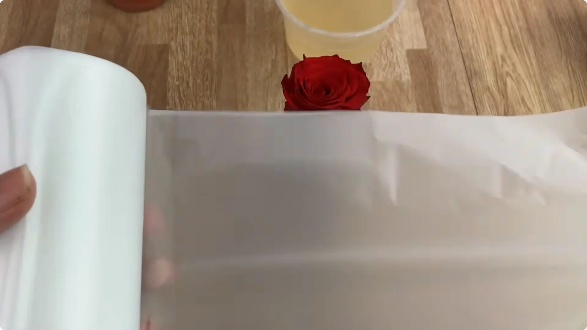 How One Potato Helped the Rose Branch Grow Stronger Than Ever screenshot 5