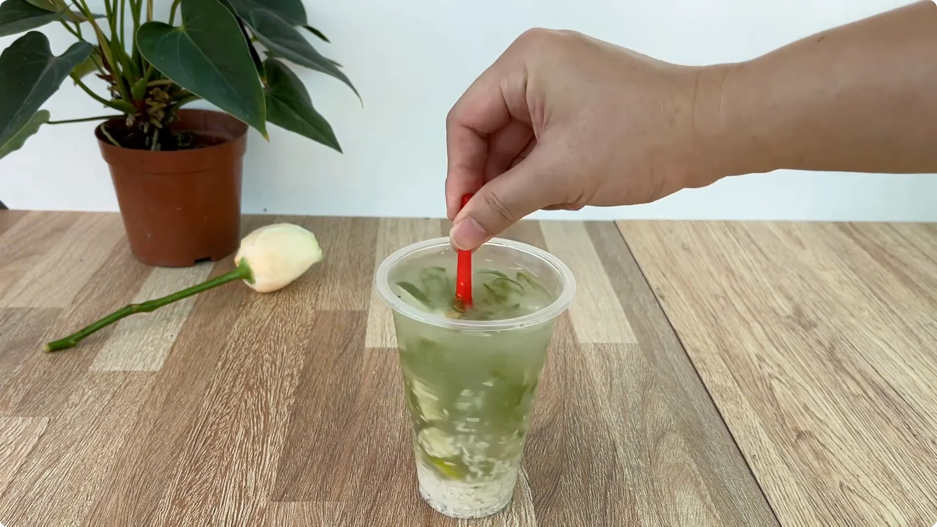 How One Simple Cup Grows 1001 Roots and Year-Round Roses screenshot 5