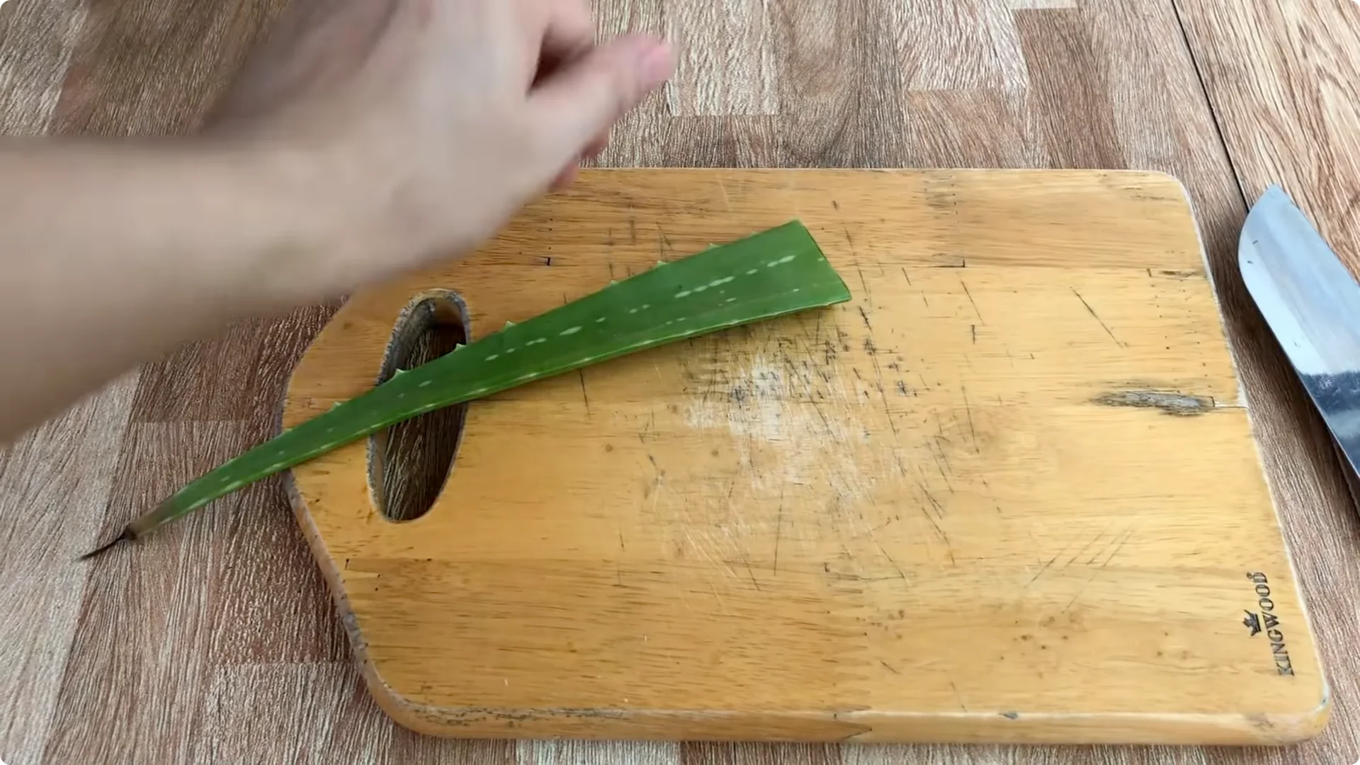 How One Simple Cup Unlocks Perfect Rose Propagation Every Time screenshot 2