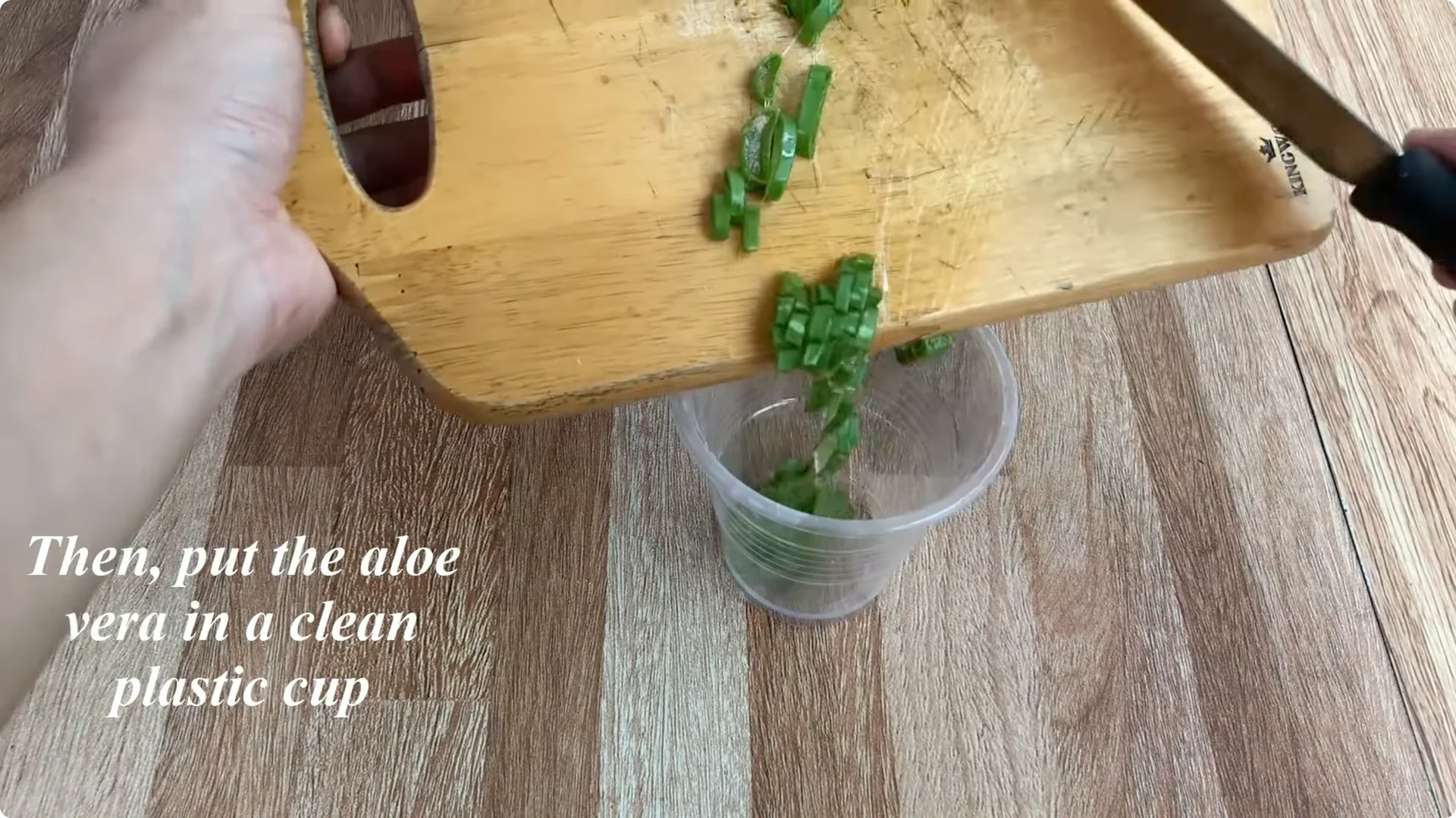 How One Simple Cup Unlocks Perfect Rose Propagation Every Time screenshot 3