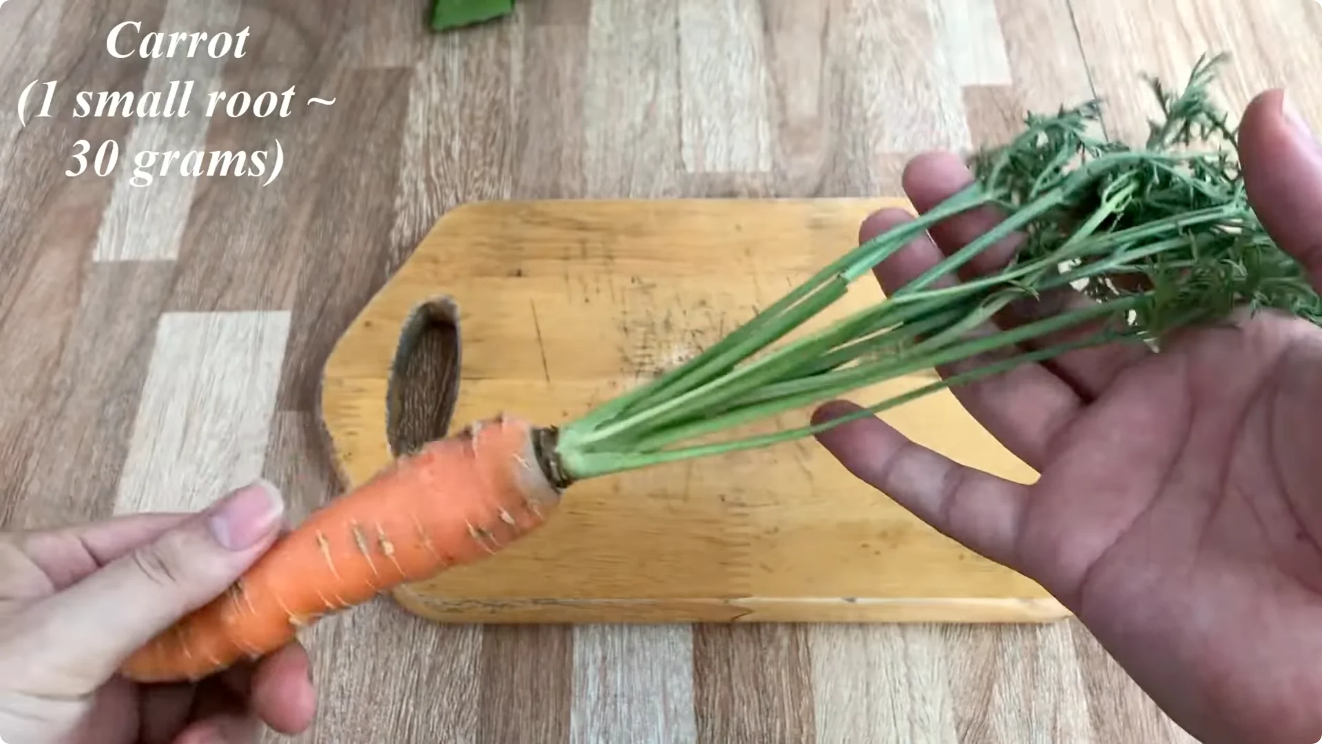 How One Simple Cup Unlocks Perfect Rose Propagation Every Time screenshot 4