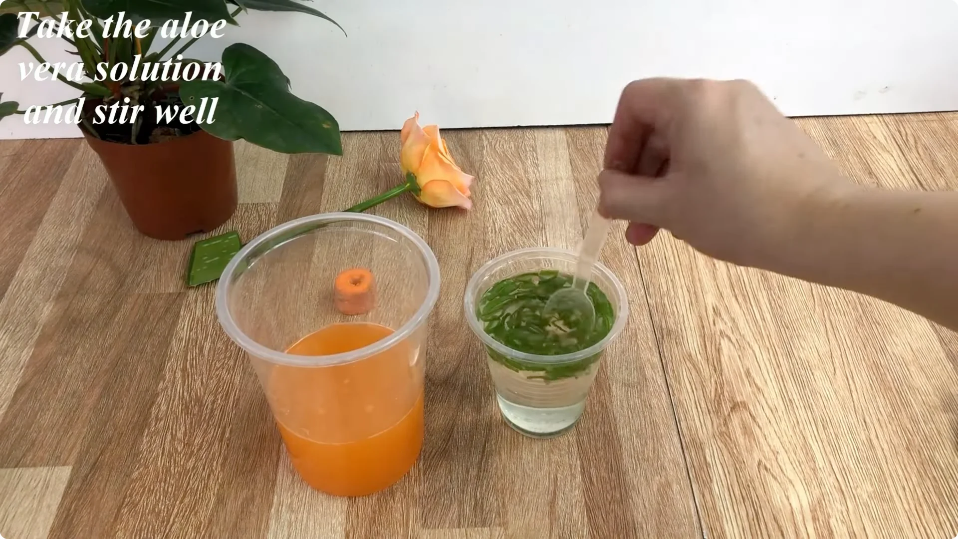How One Simple Cup Unlocks Perfect Rose Propagation Every Time screenshot 5