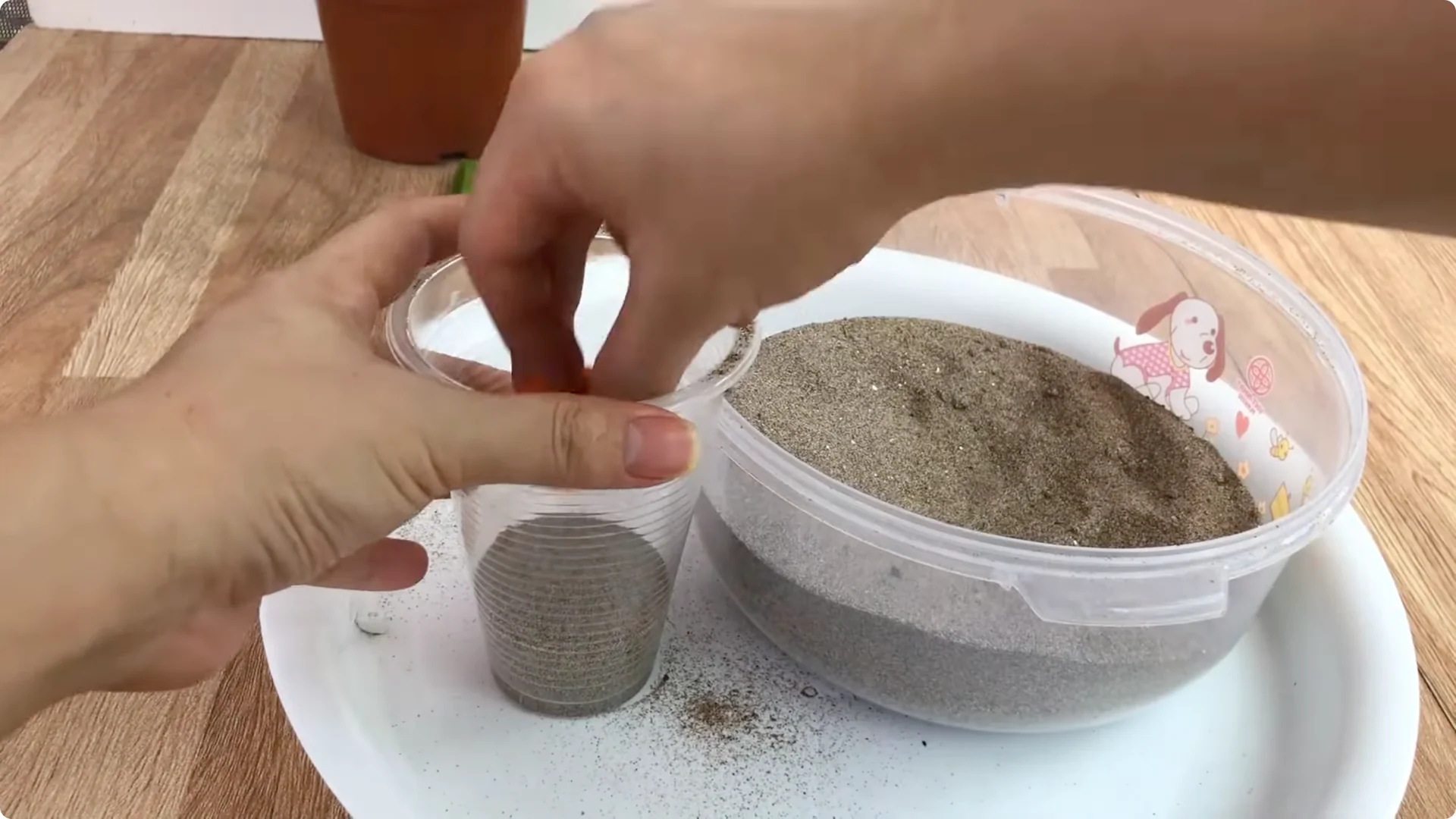 How One Simple Cup Unlocks Perfect Rose Propagation Every Time screenshot 6