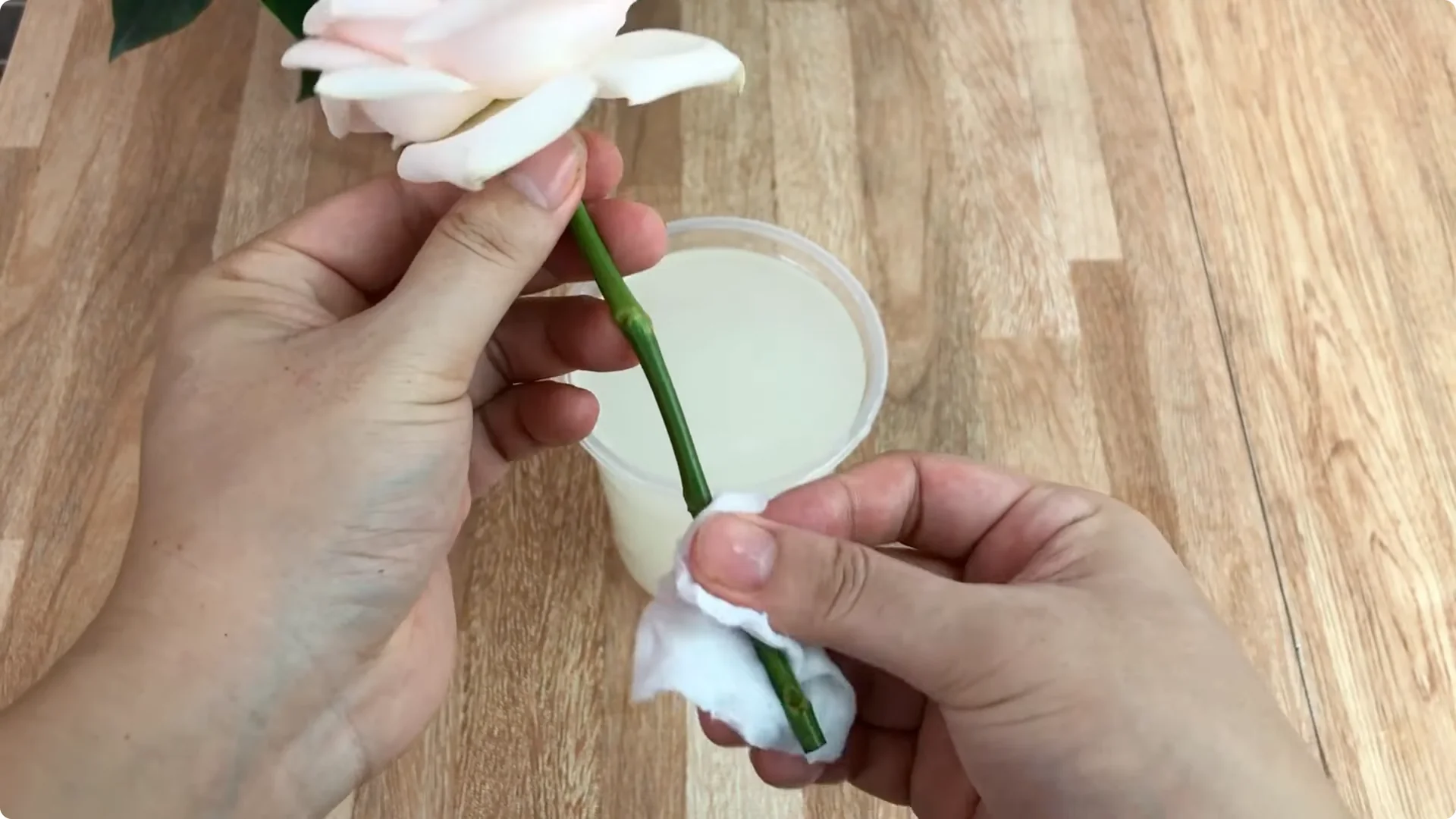 How One Simple Sprinkle Keeps Roses Blooming Year-Round screenshot 6
