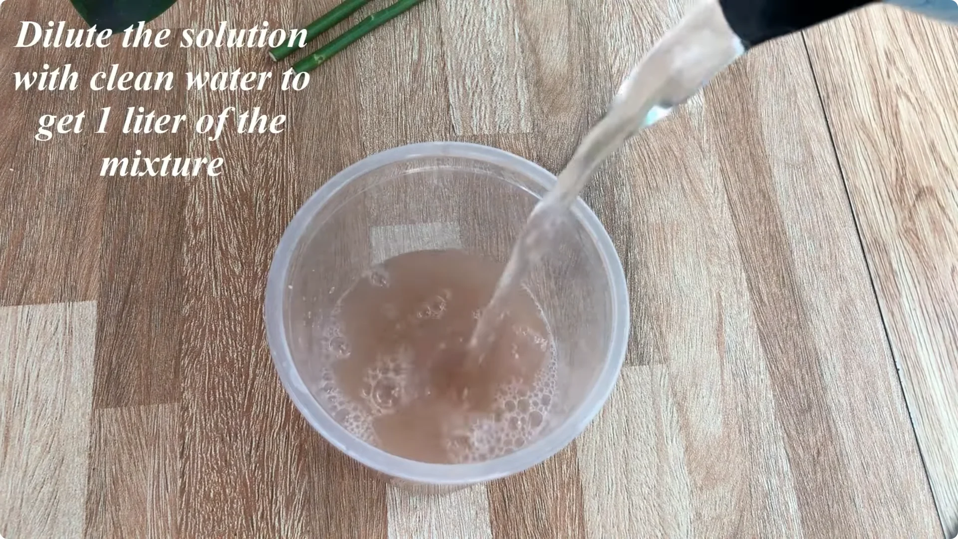 How One Simple Sprinkle Makes Rose Branches Bloom Abundantly screenshot 8