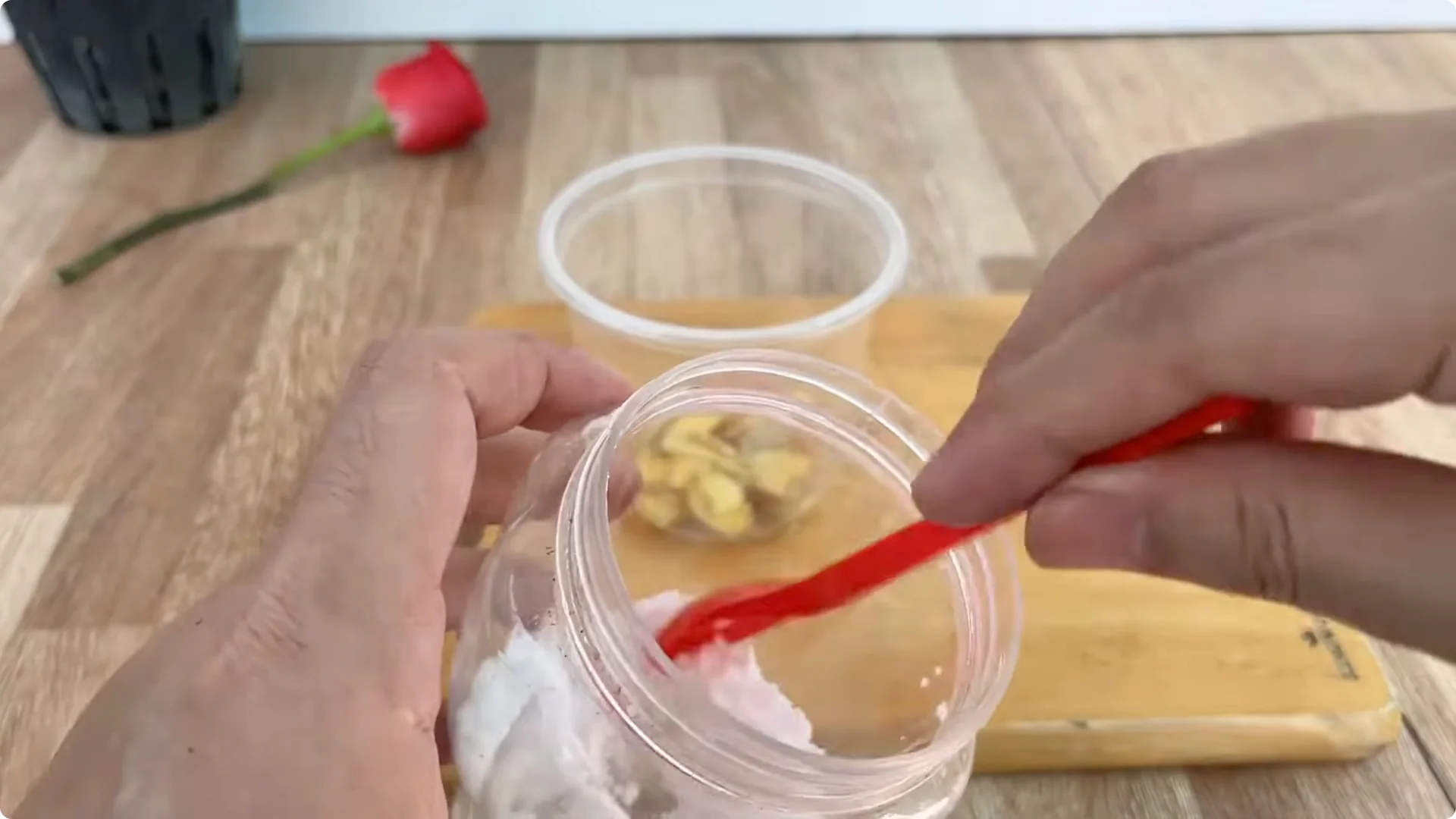 How One Slice Can Help You Propagate Any Rose Branch Easily screenshot 3