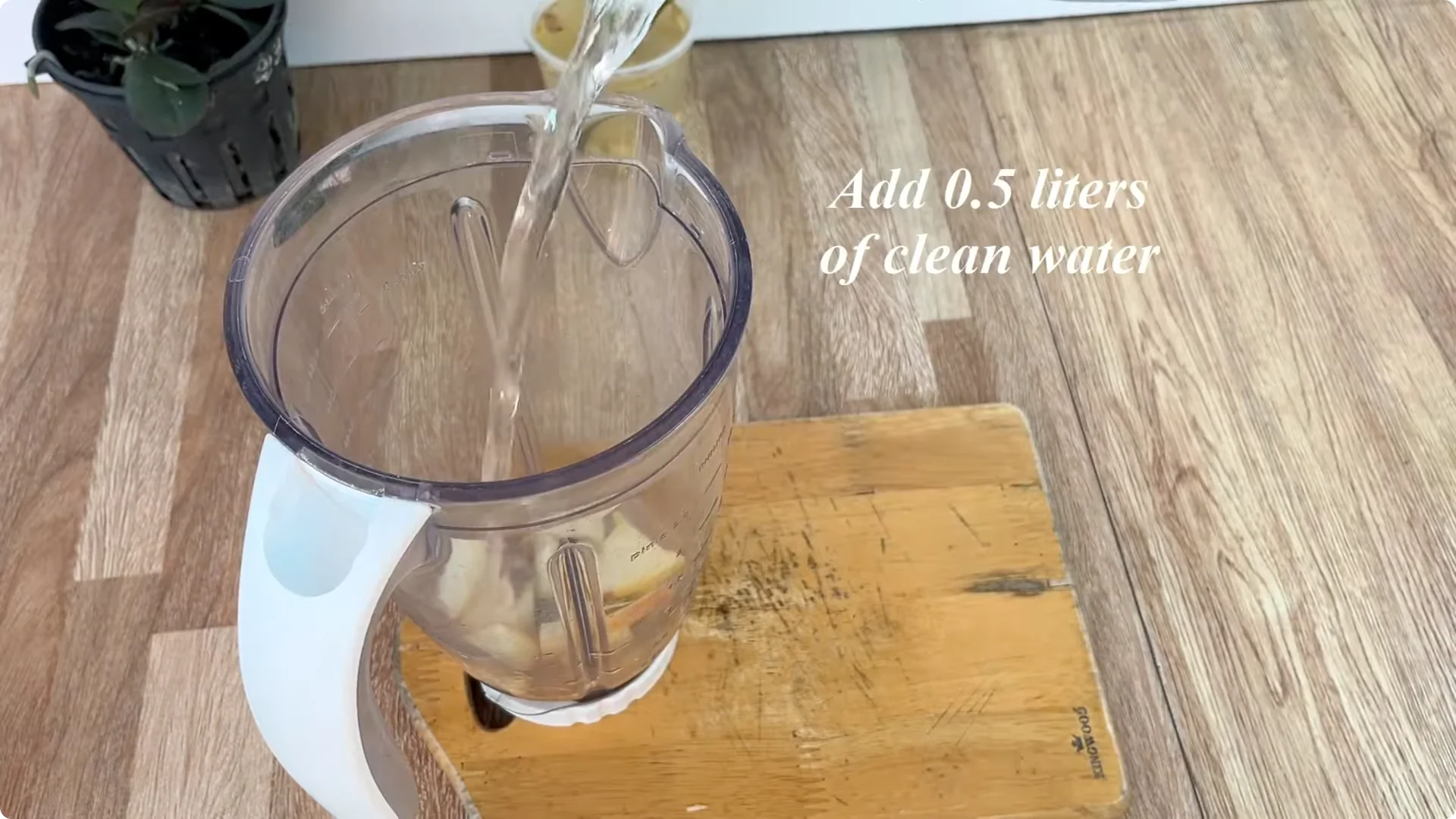 How One Slice Can Help You Propagate Any Rose Branch Easily screenshot 5