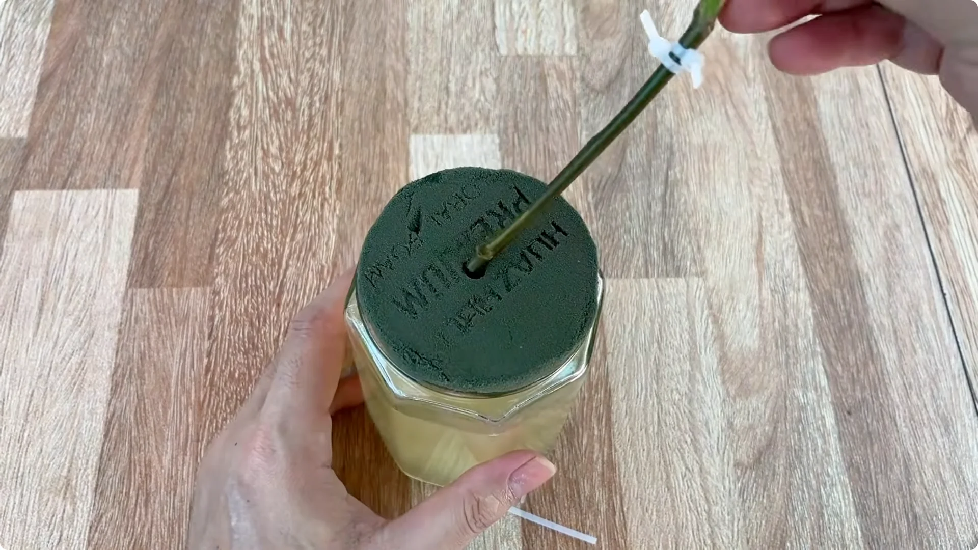How One Slice Can Help You Propagate Any Rose Branch Easily screenshot 6