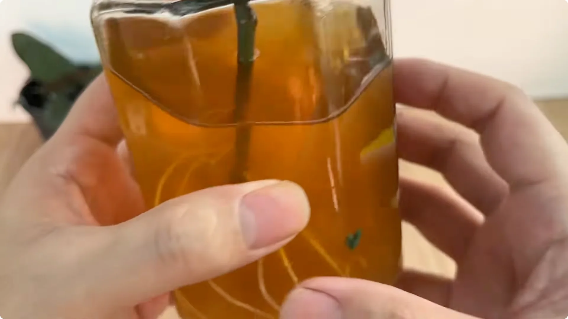 How One Slice Can Help You Propagate Any Rose Branch Easily screenshot 7