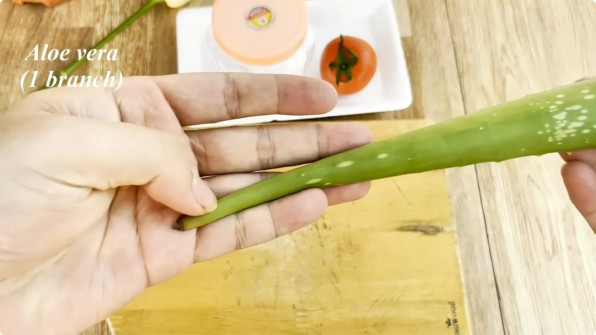 How One Spoon Helps Rose Branches Root and Bloom Year-Round screenshot 2