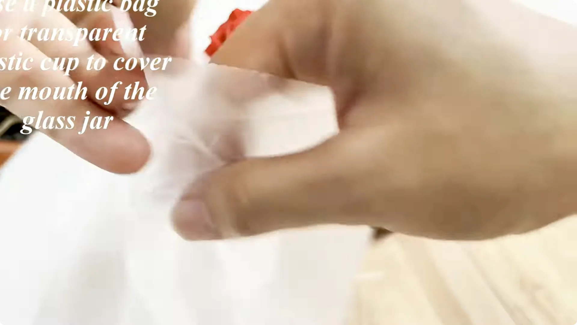 How One Spoon Helps Rose Branches Root and Bloom Year-Round screenshot 5