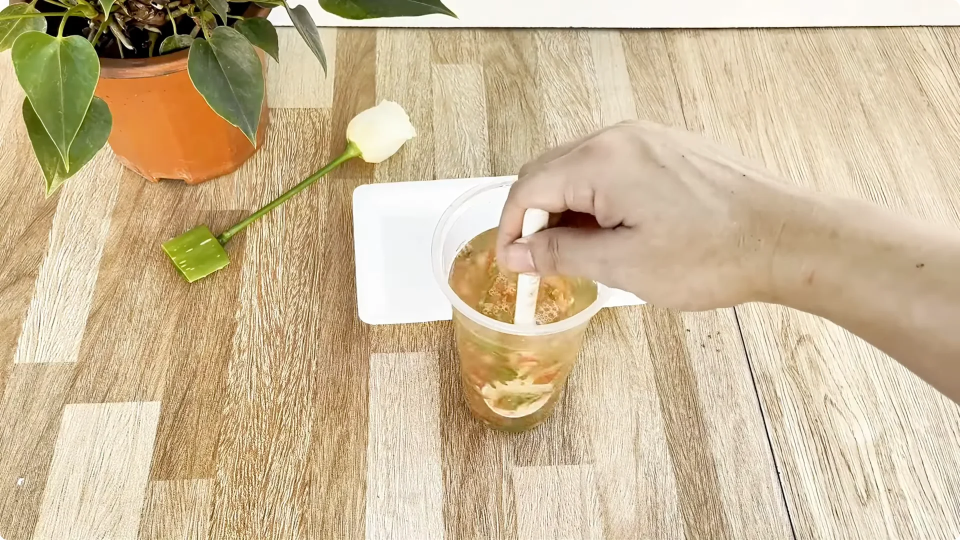 How One Spoon Helps Rose Branches Root and Bloom Year-Round screenshot 5