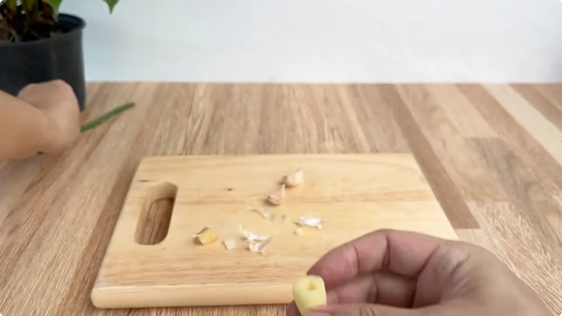 How One Spoonful Helps Rose Branches Root and Bloom More screenshot 5