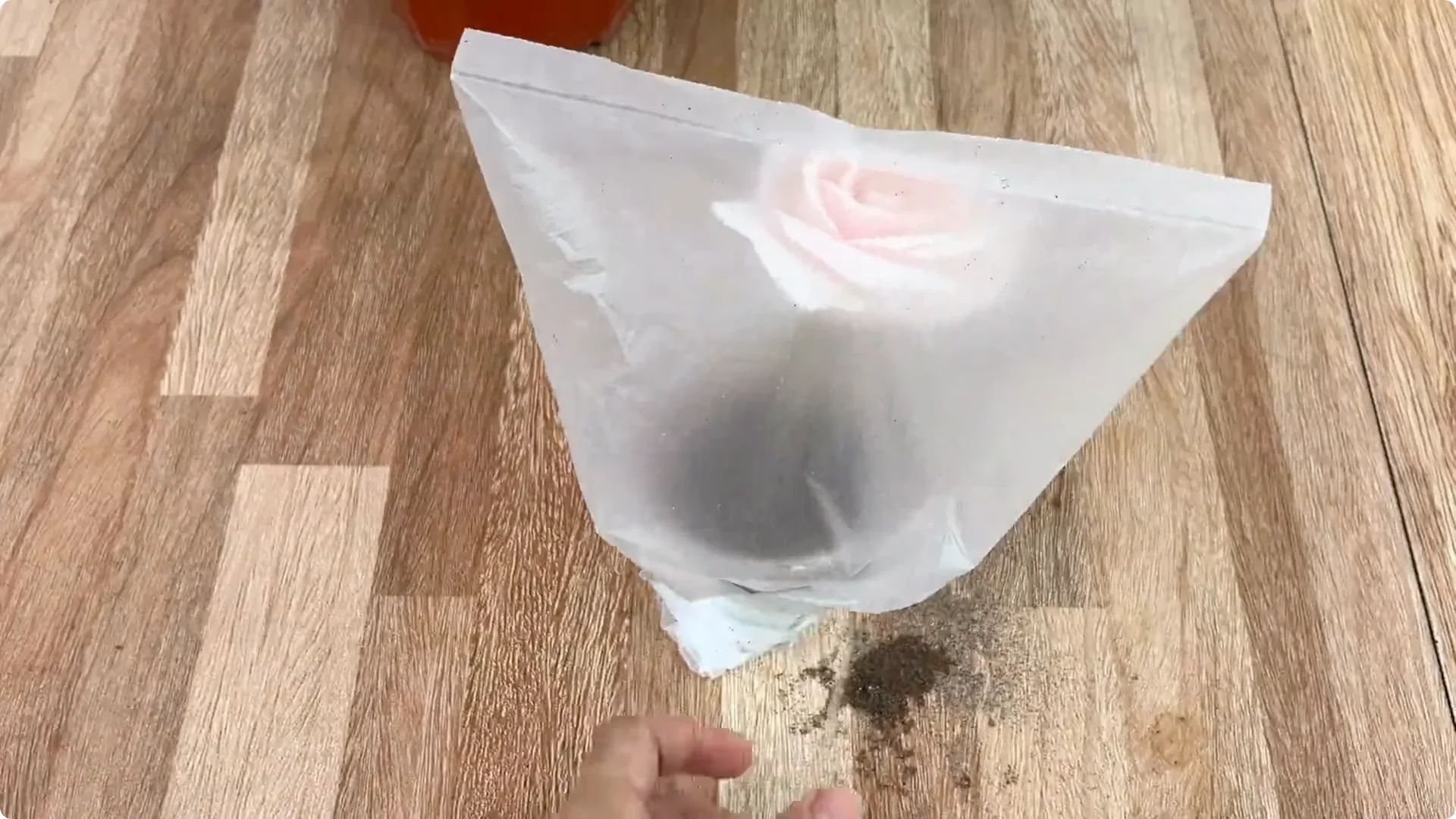 How One Thin Rose Branch Sparked a Blooming Surprise screenshot 13