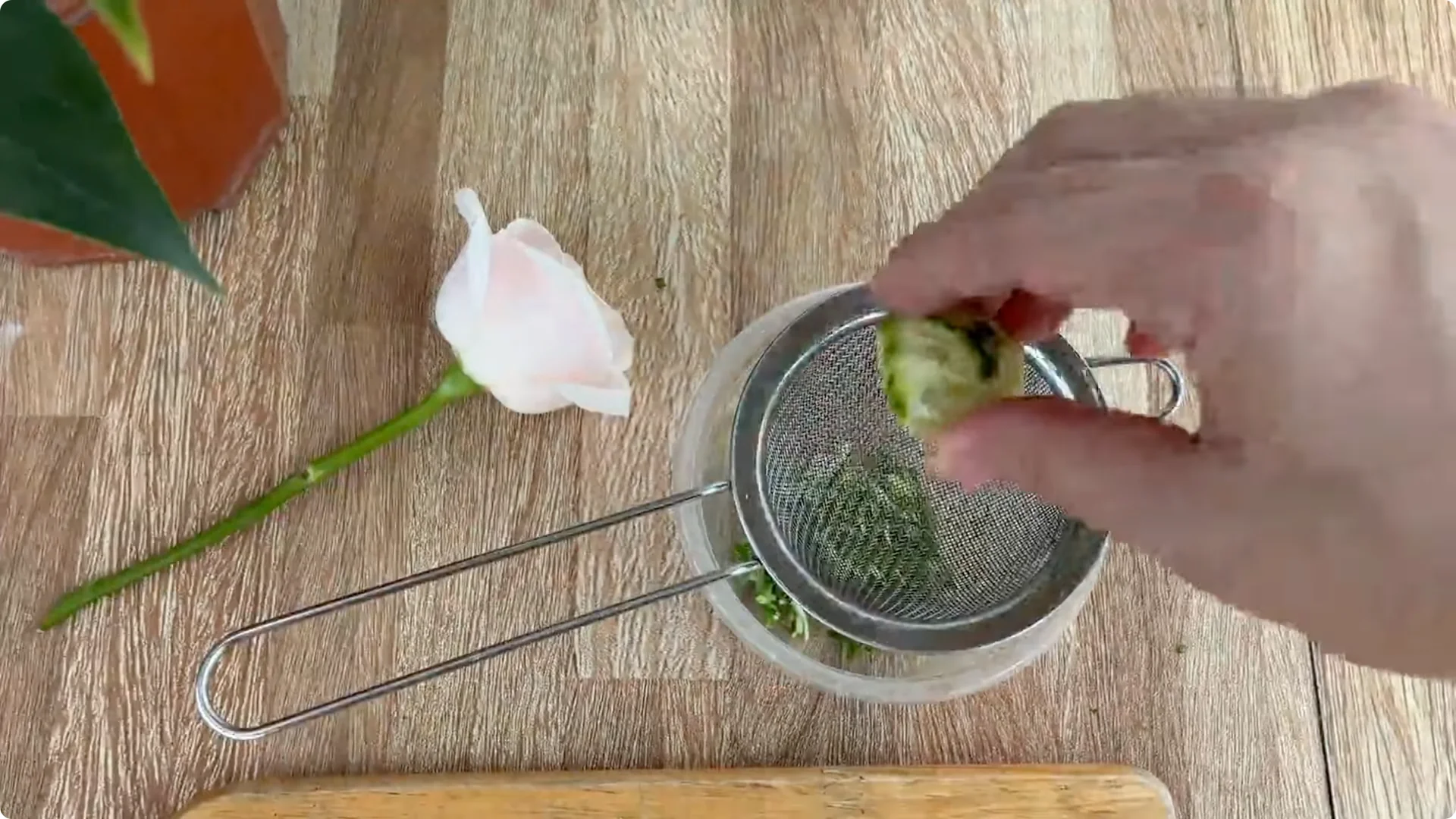 How One Thin Rose Branch Sparked a Blooming Surprise screenshot 6