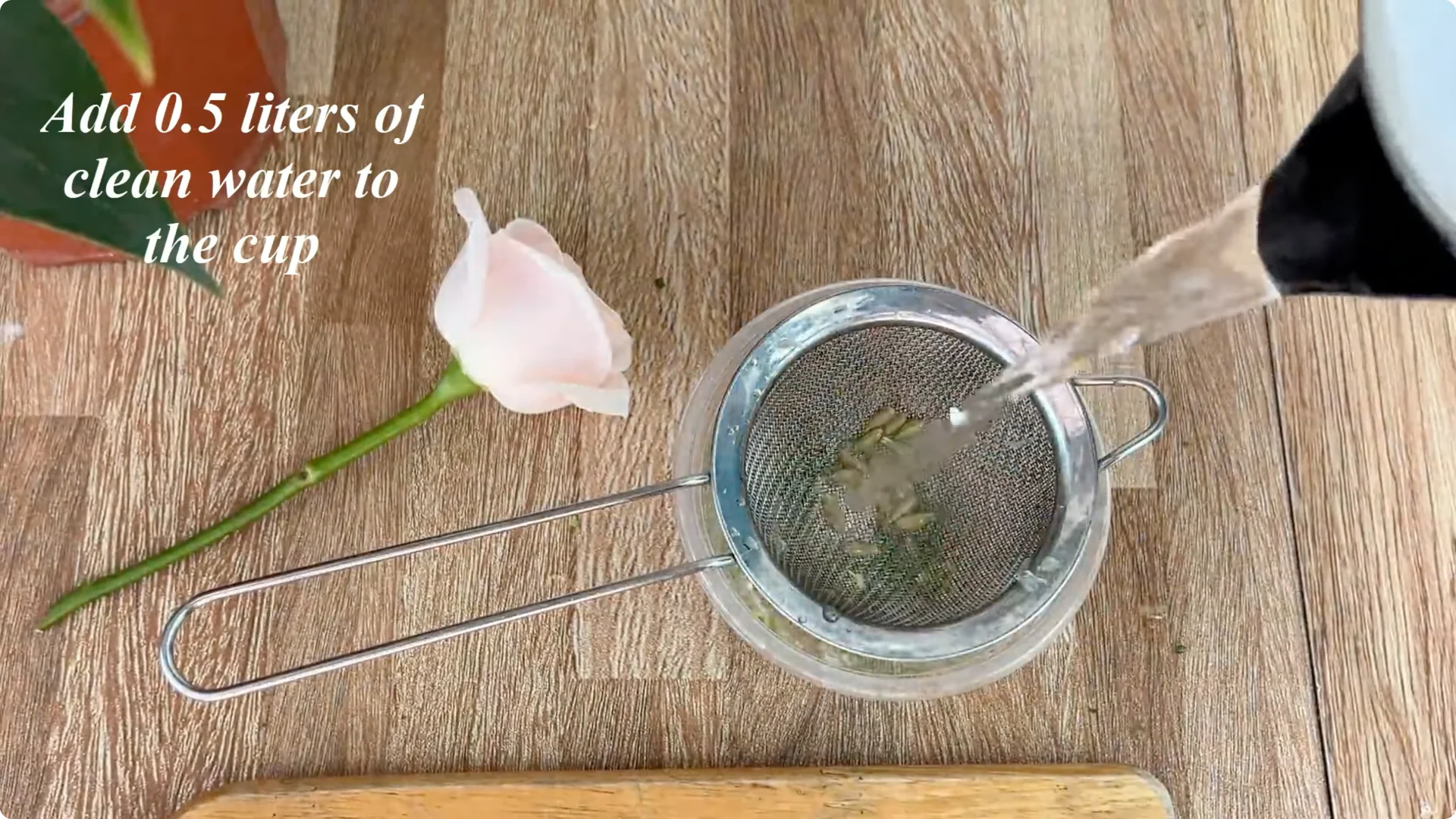 How One Thin Rose Branch Sparked a Blooming Surprise screenshot 7