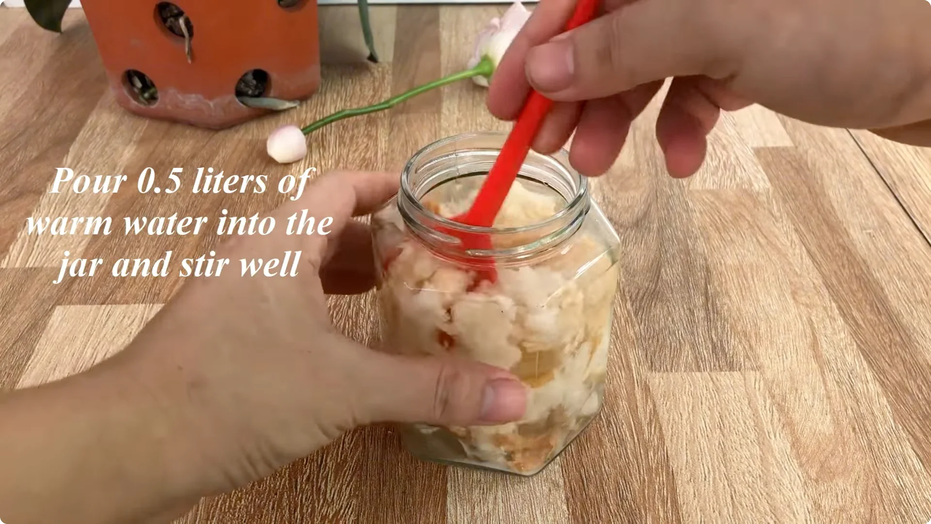 How One Thin Rose Slice Sparked Rapid Root Growth Overnight screenshot 7