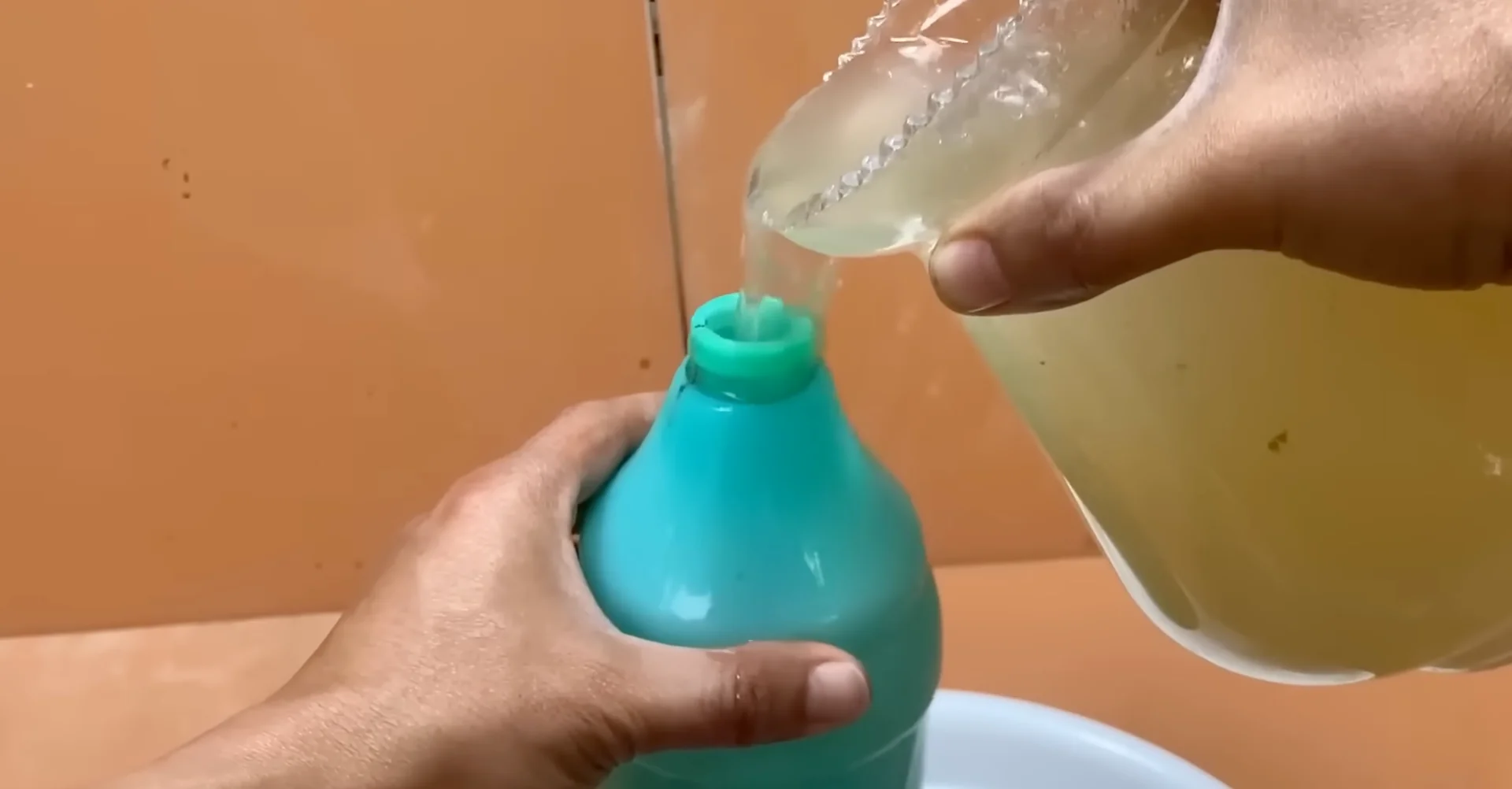 How Potato & Ginger Help Orchids Bloom Repeatedly? screenshot 9