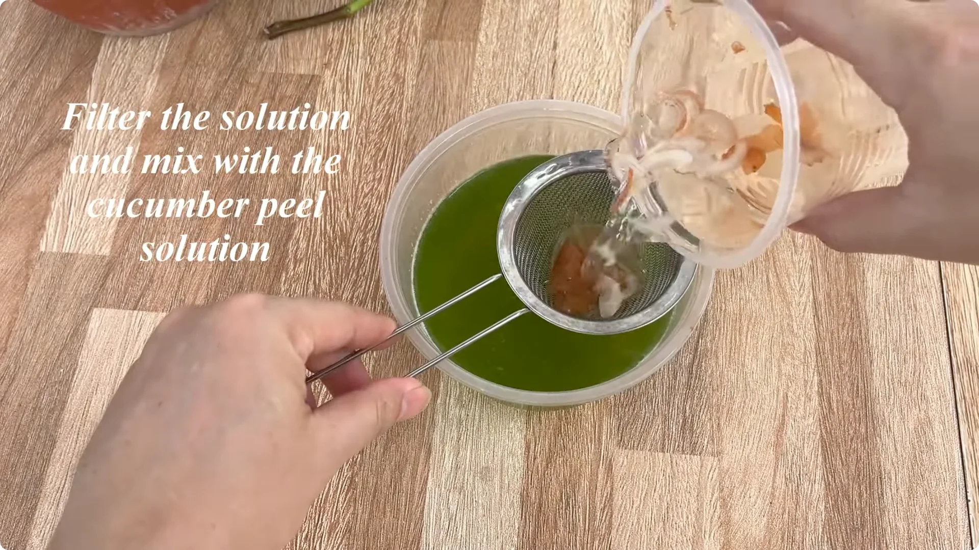 How Rose Branch Cuttings Root and Bloom Overnight screenshot 4