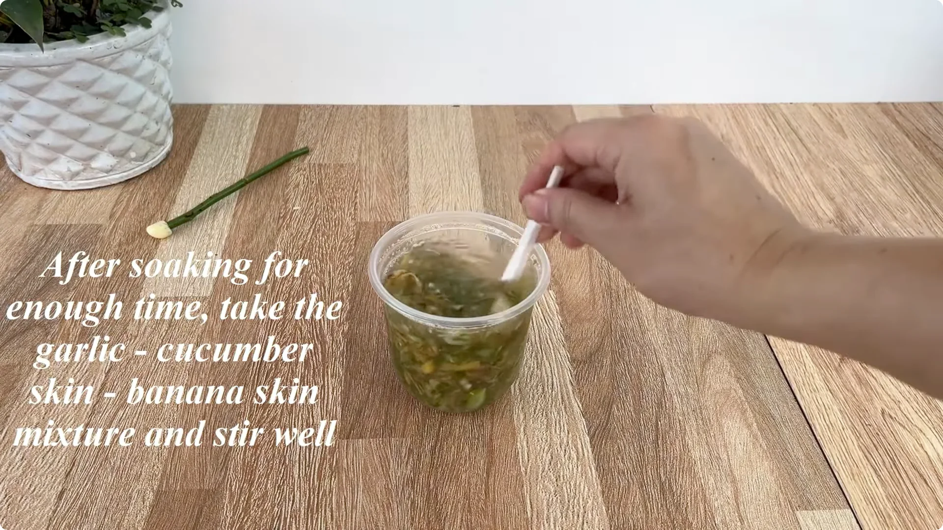 How This Simple Trick Helps Roses Root and Bloom Forever screenshot 3